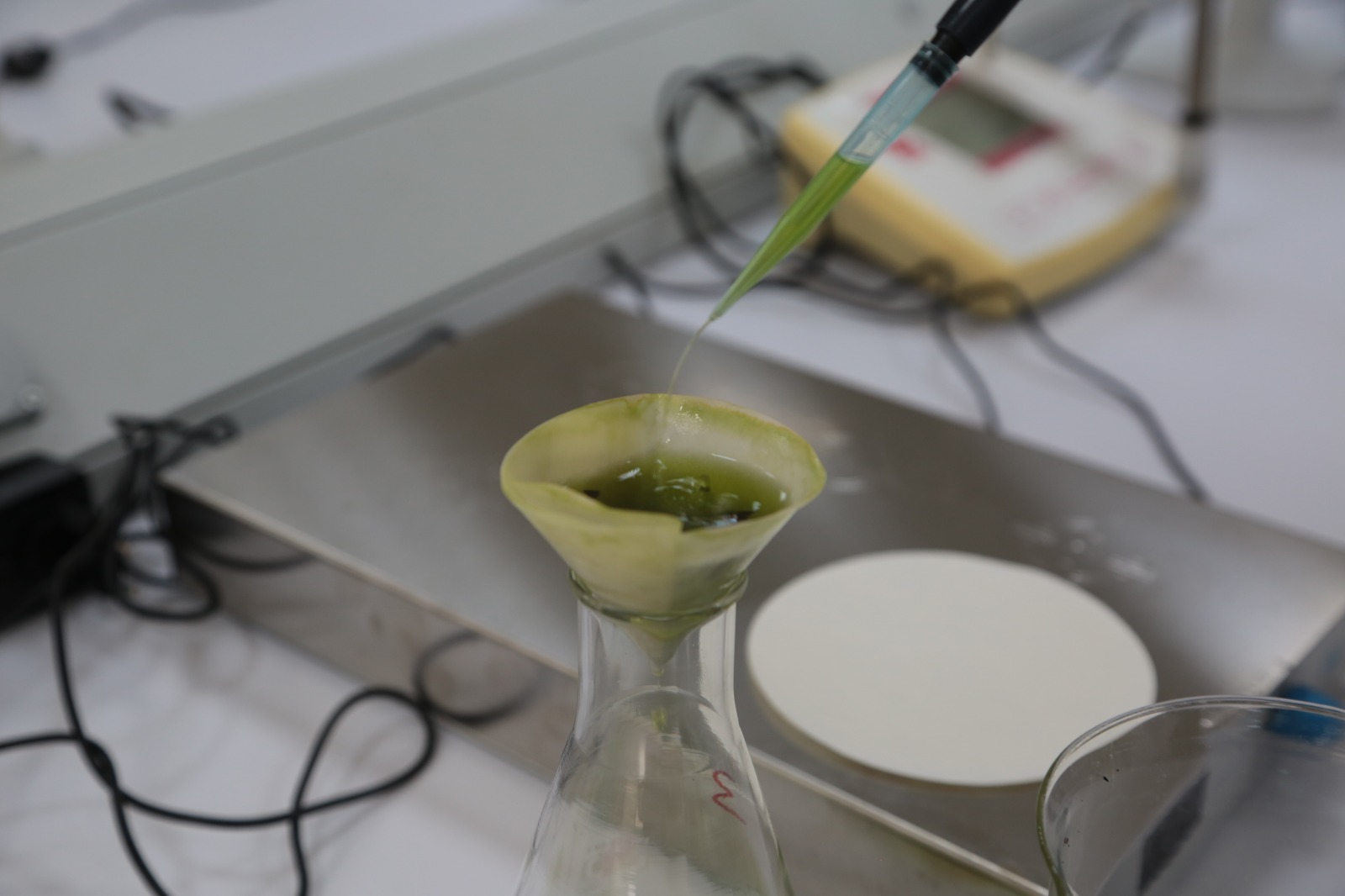 Whatsapp Image 2025 12 22 At 11.04.39 (12)