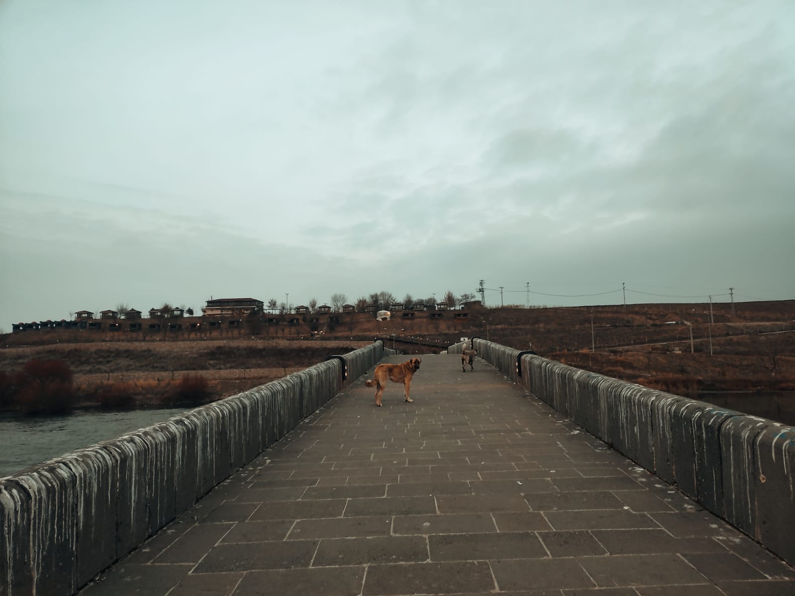 Whatsapp Image 2025 12 22 At 12.06.20