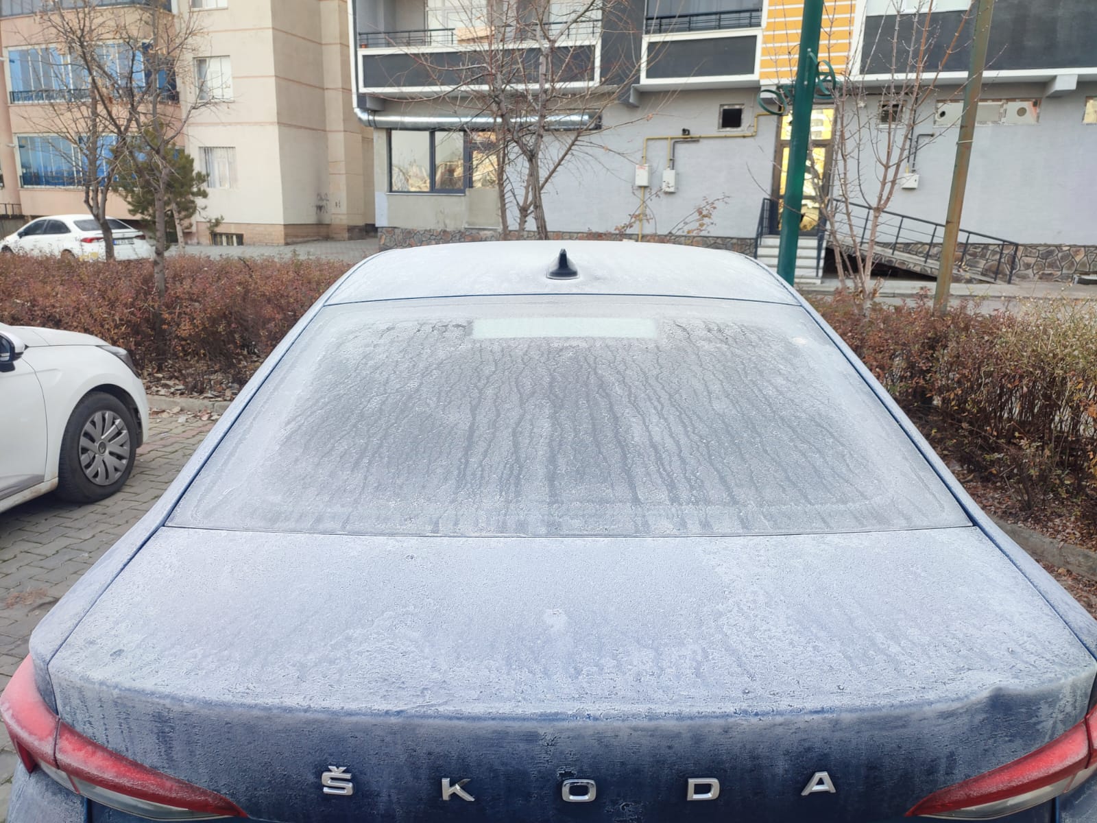 Whatsapp Image 2025 12 25 At 10.18.17