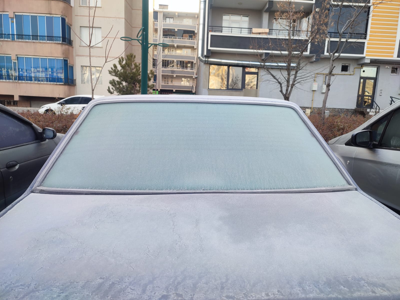 Whatsapp Image 2025 12 25 At 10.18.20 (1)