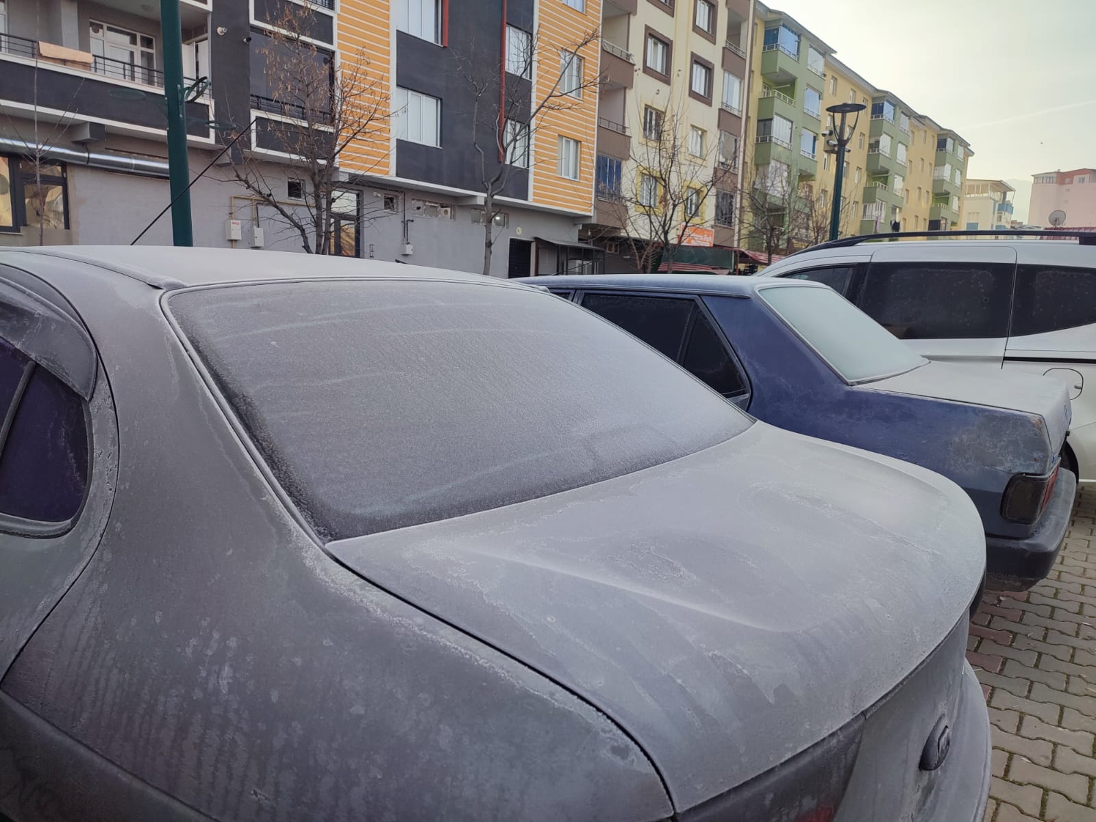 Whatsapp Image 2025 12 25 At 10.18.20 (2)