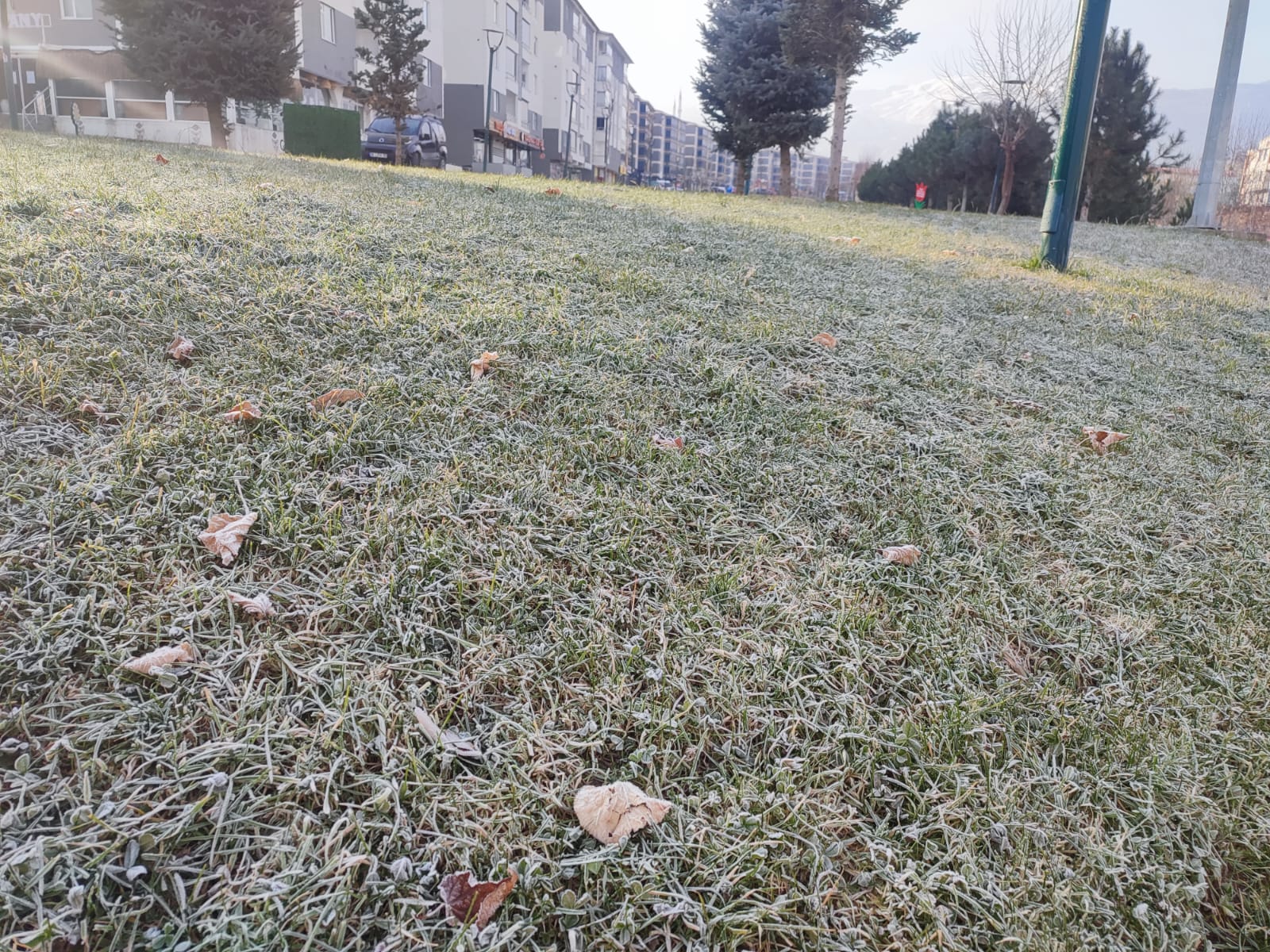 Whatsapp Image 2025 12 25 At 10.18.21 (1)