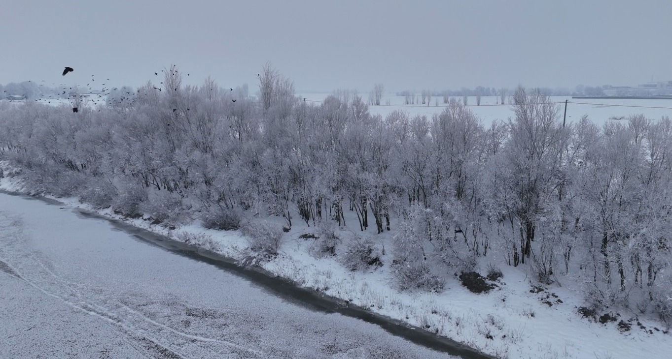 Whatsapp Image 2025 12 31 At 10.53.38