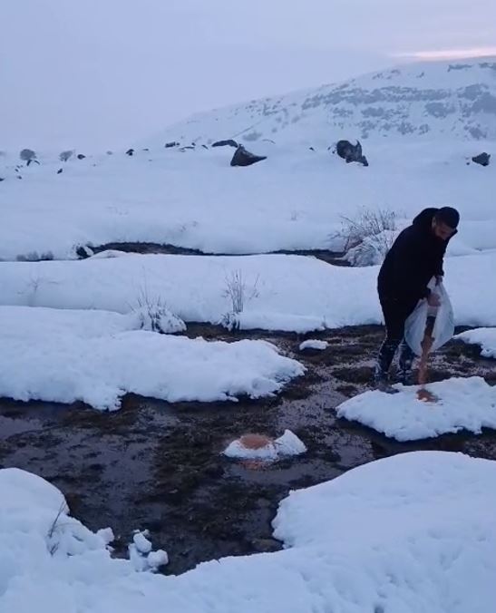 E R T F G H F D E R T H U J