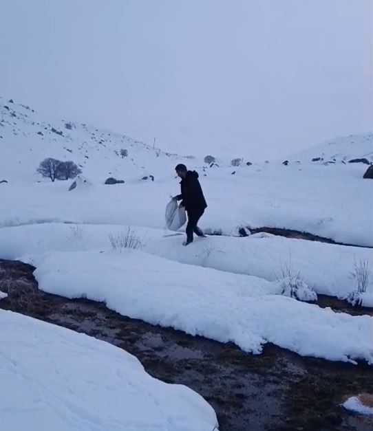 E T V F D E S A W R T F G H R T F Y