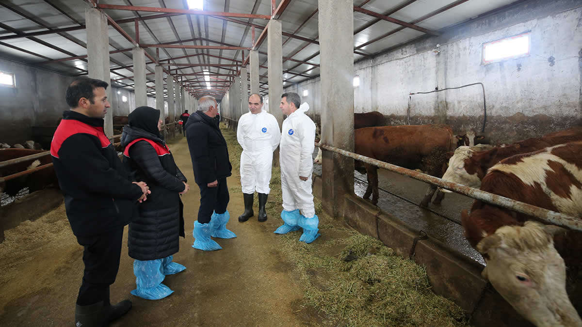 E T5 R Y B H M G T R5 H