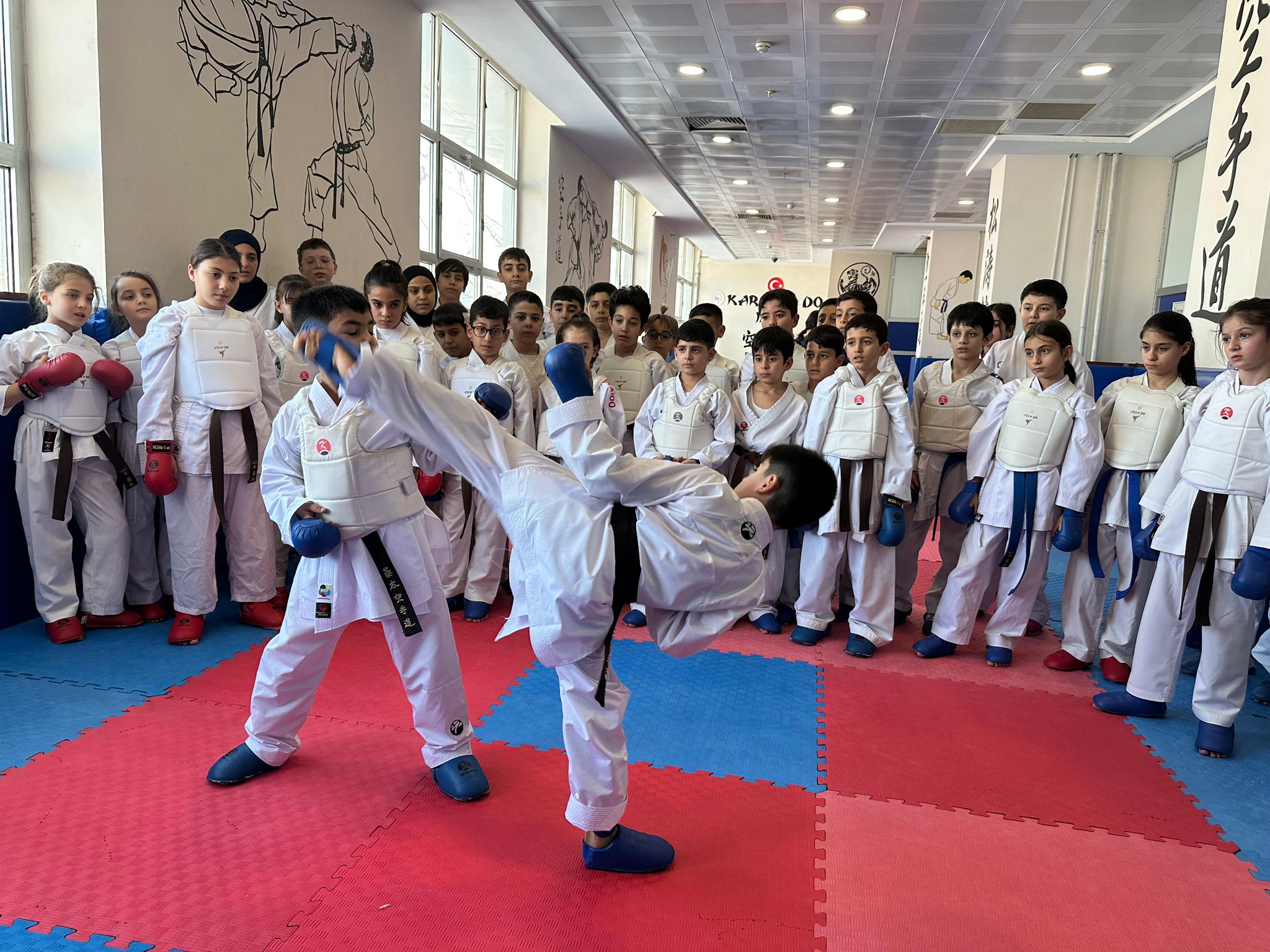 G956 S T J W E A A Og He