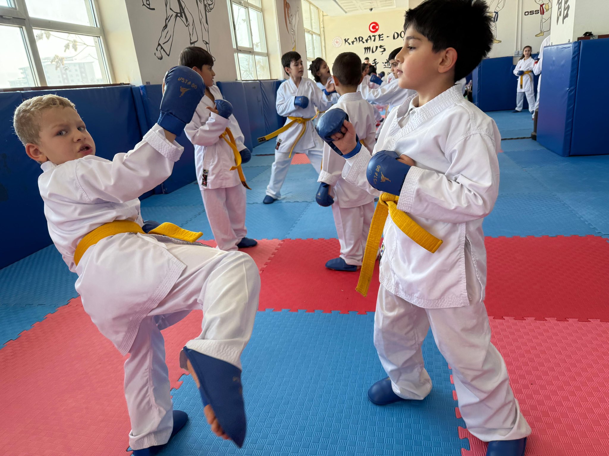 G956 S T R Xc A A1 Oe0