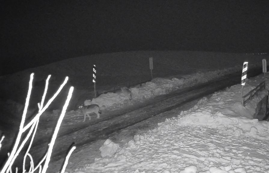 R E T D G H F R E T D H