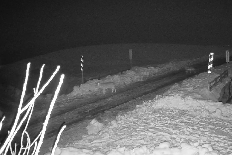 R E T F G H F D E R F T Y