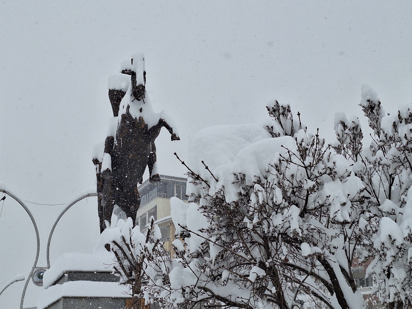 Whatsapp Image 2026 01 01 At 14.12.28