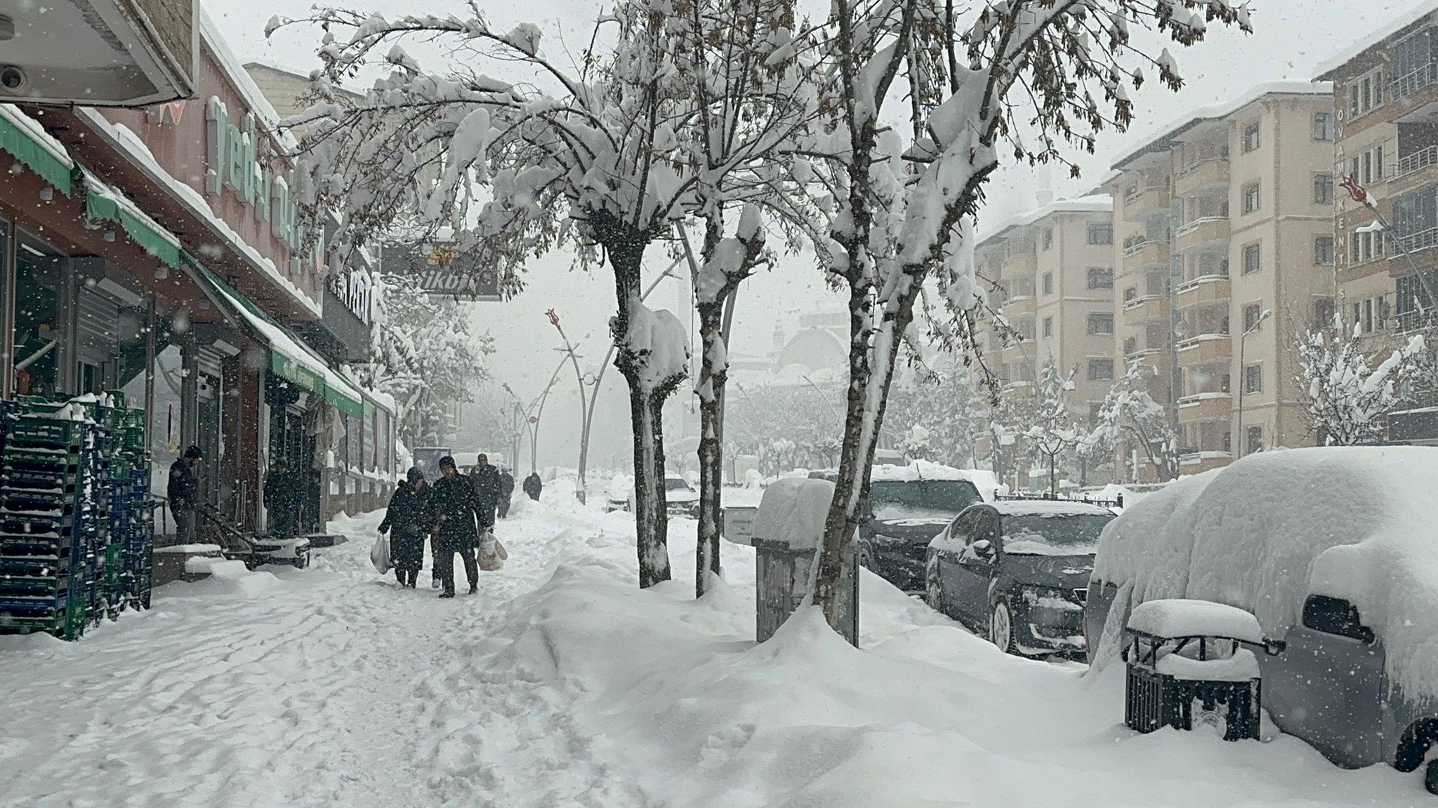 Whatsapp Image 2026 01 01 At 14.12.55