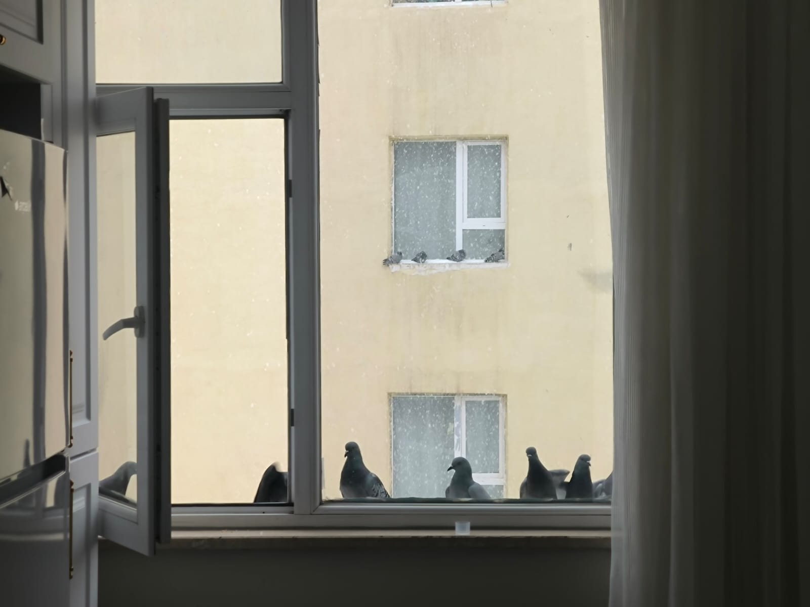 Whatsapp Image 2026 01 03 At 14.04.13