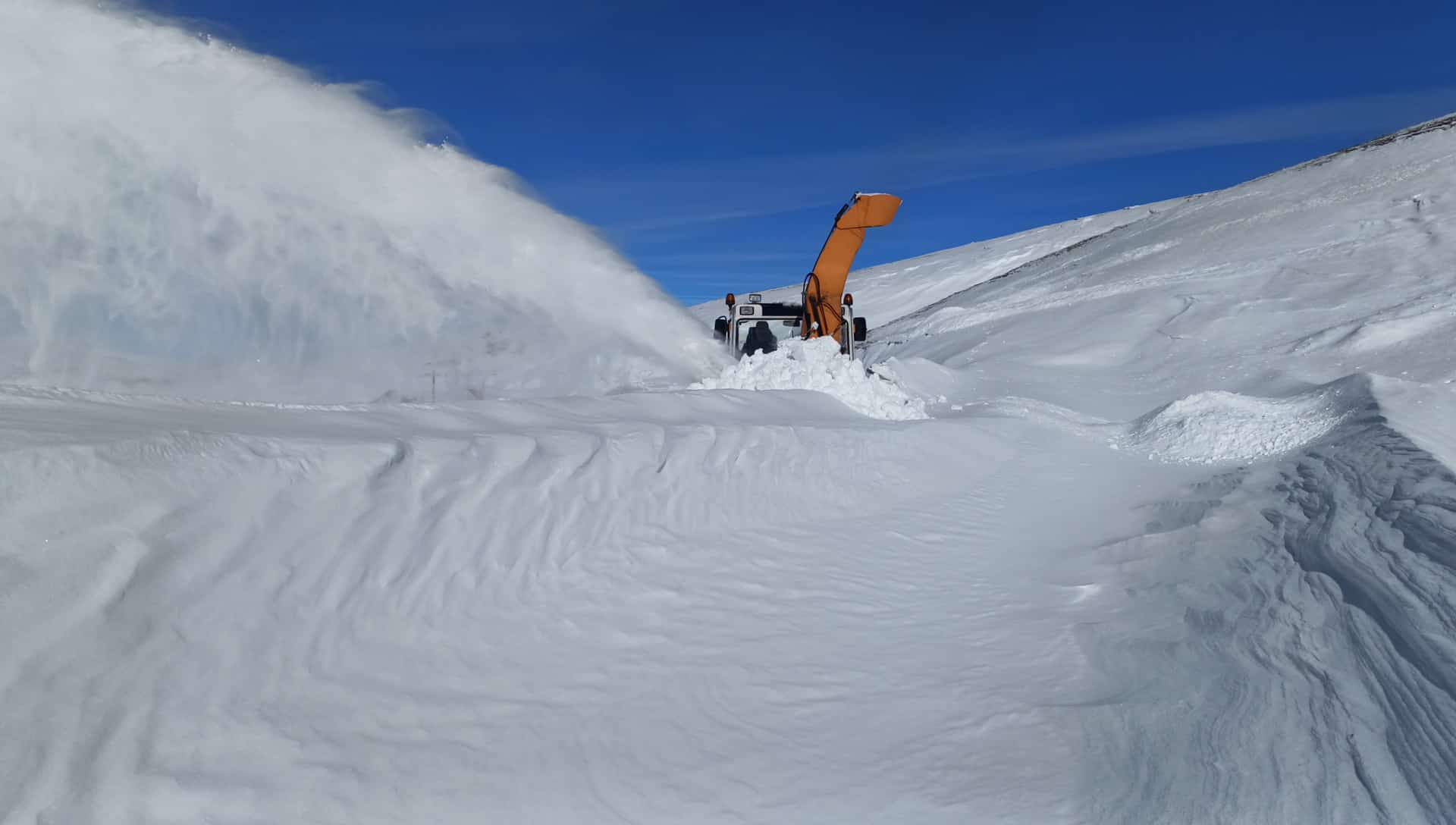 Whatsapp Image 2026 01 04 At 19.17.20