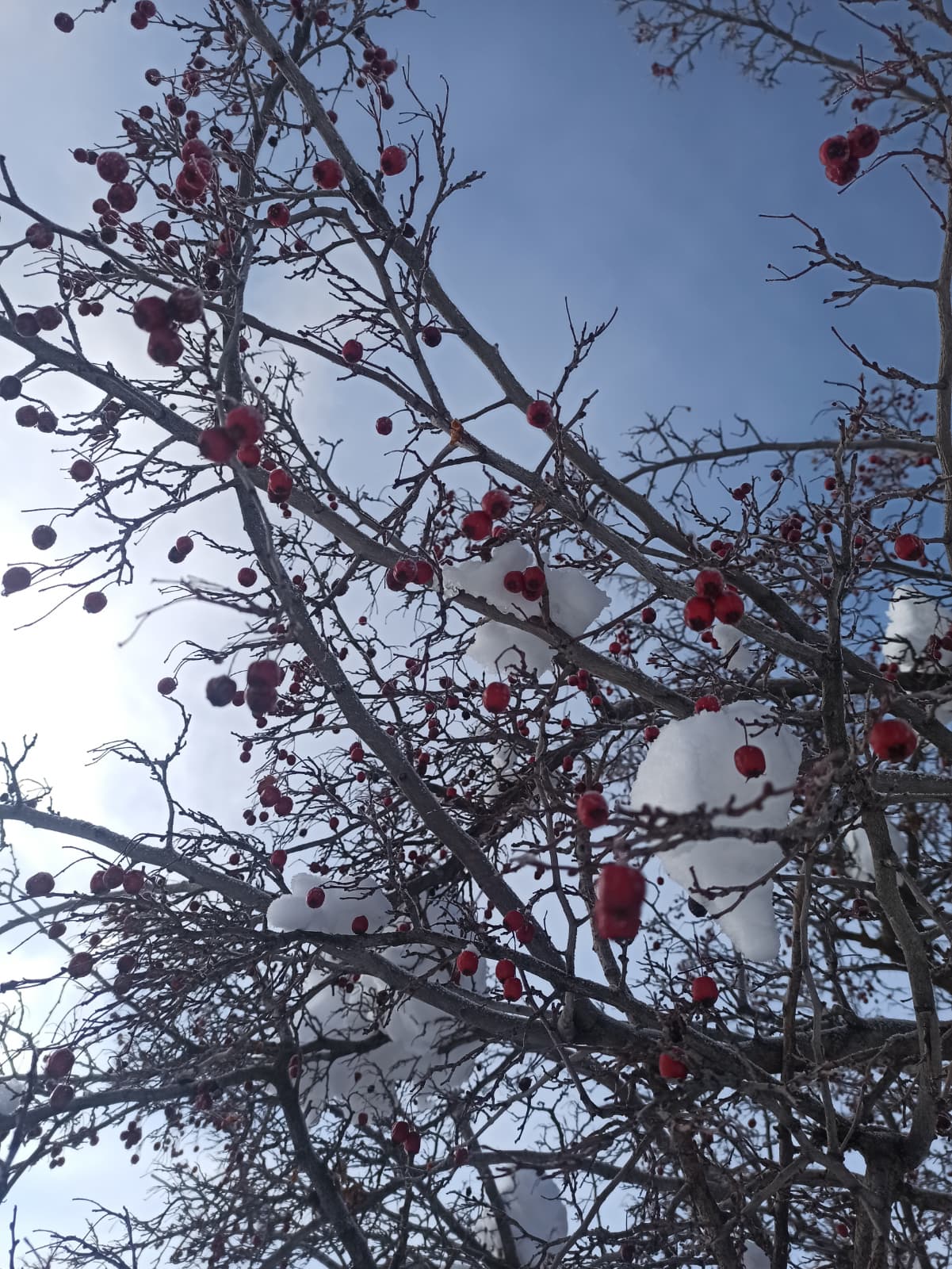 Whatsapp Image 2026 01 05 At 16.22.47 (1)