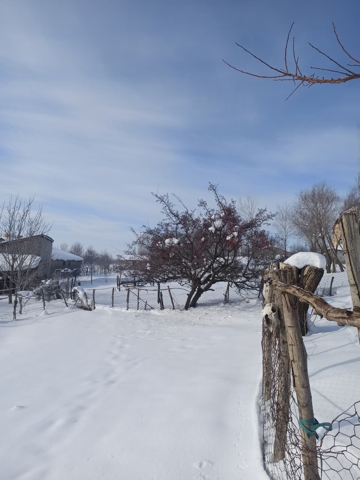 Whatsapp Image 2026 01 05 At 16.22.47