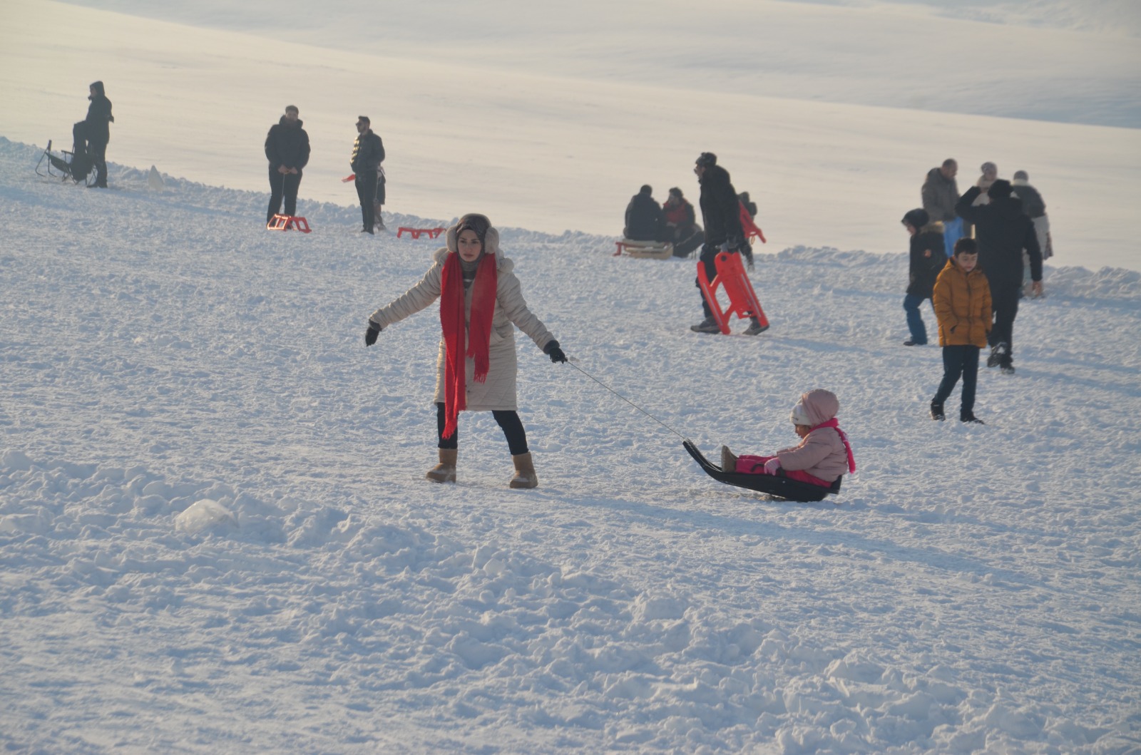 Whatsapp Image 2026 01 11 At 17.31.04