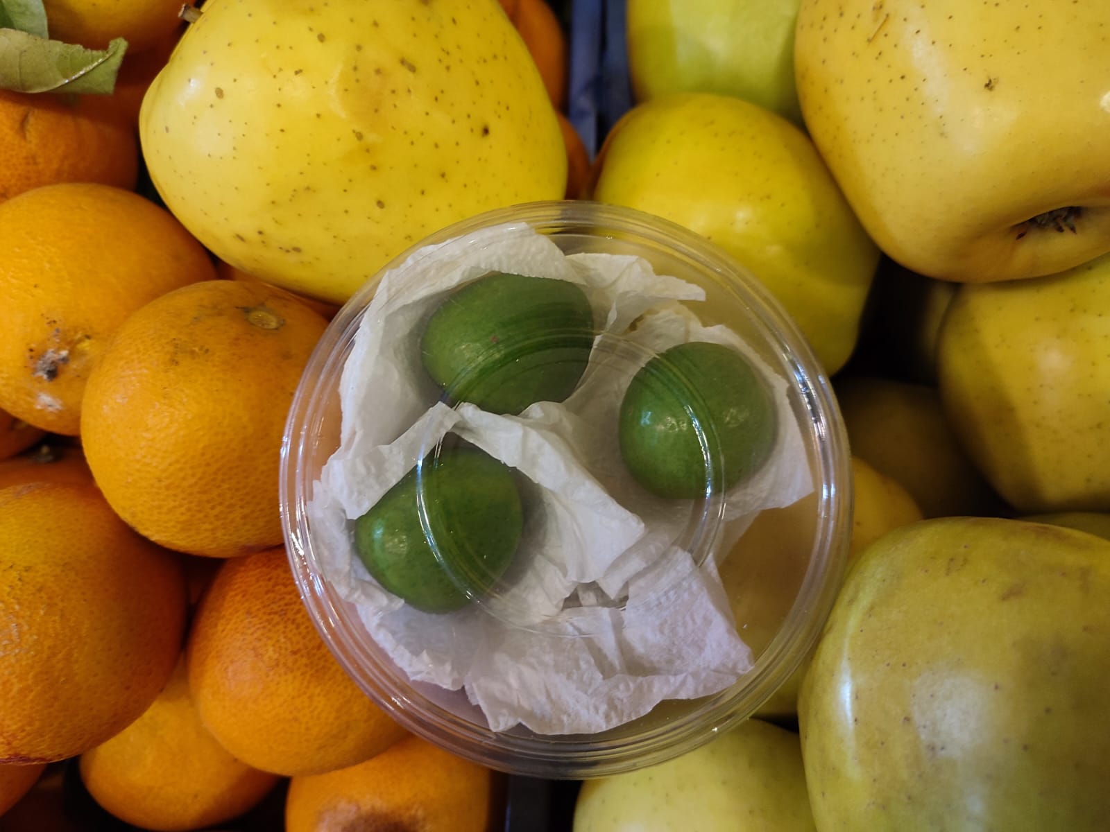 Whatsapp Image 2026 01 13 At 14.36.43 (2)