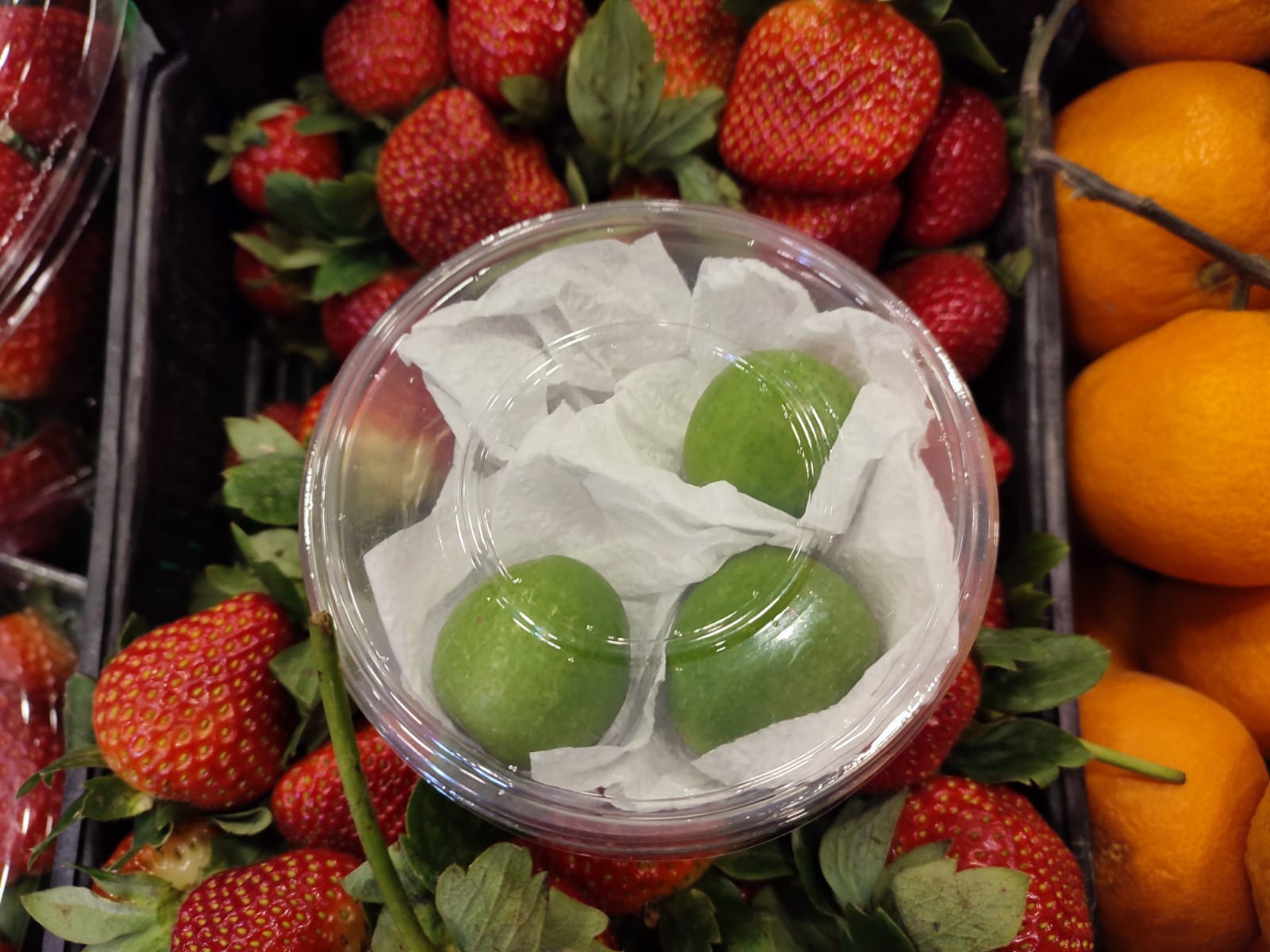 Whatsapp Image 2026 01 13 At 14.36.43 (3)