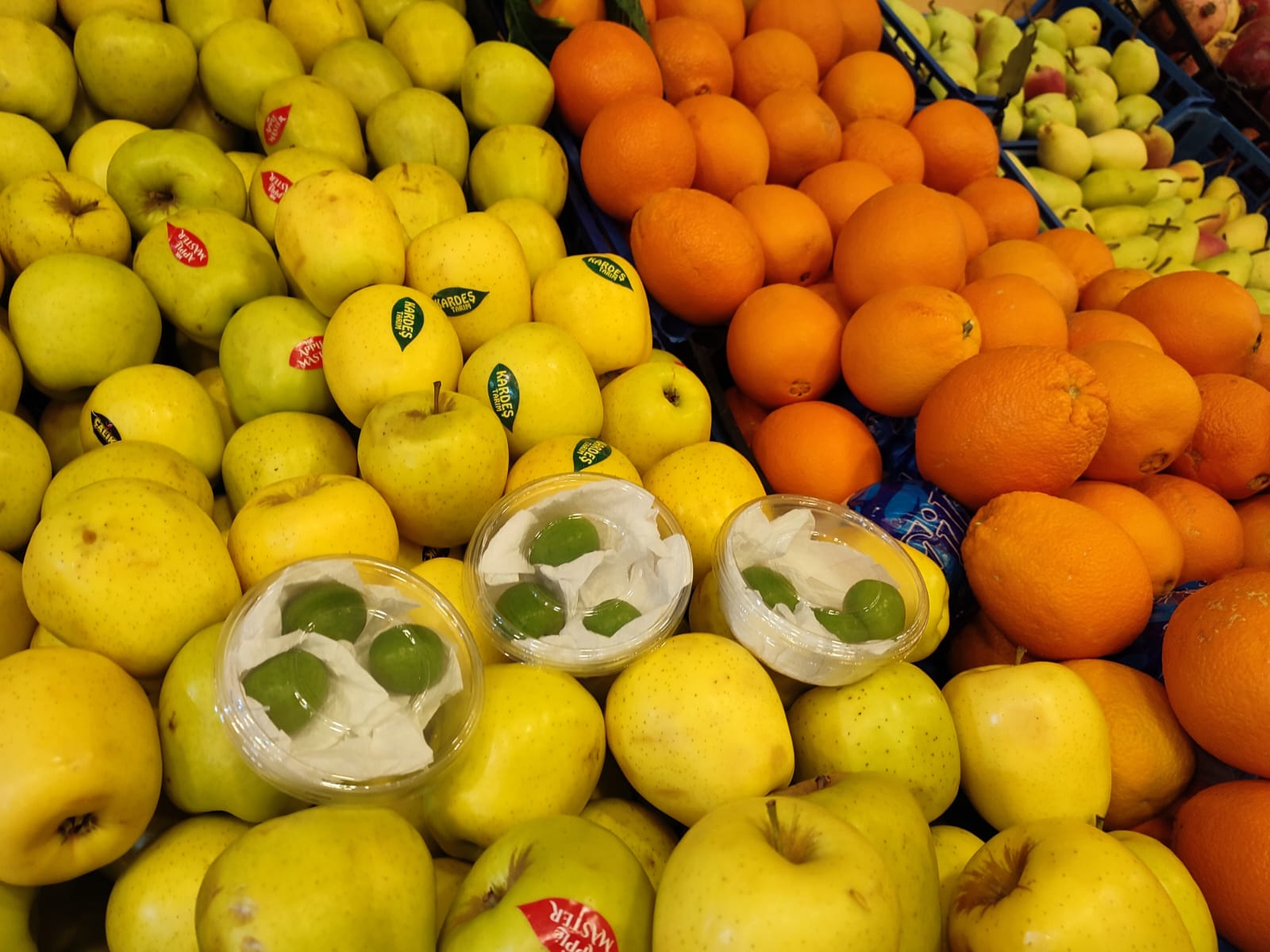 Whatsapp Image 2026 01 13 At 14.36.44