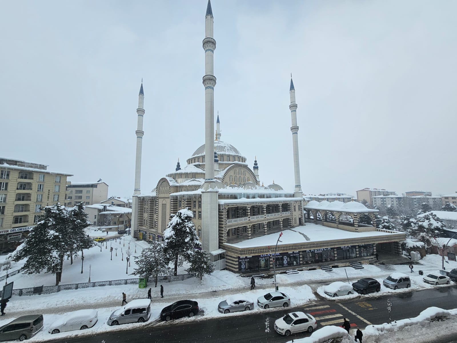 Whatsapp Image 2026 01 19 At 13.47.12