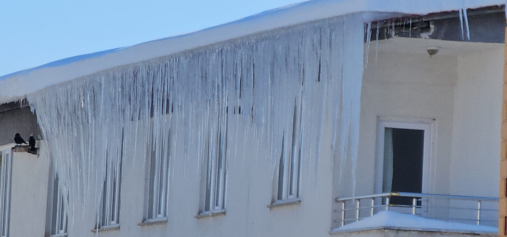 Whatsapp Image 2026 01 22 At 15.35.19 (1)