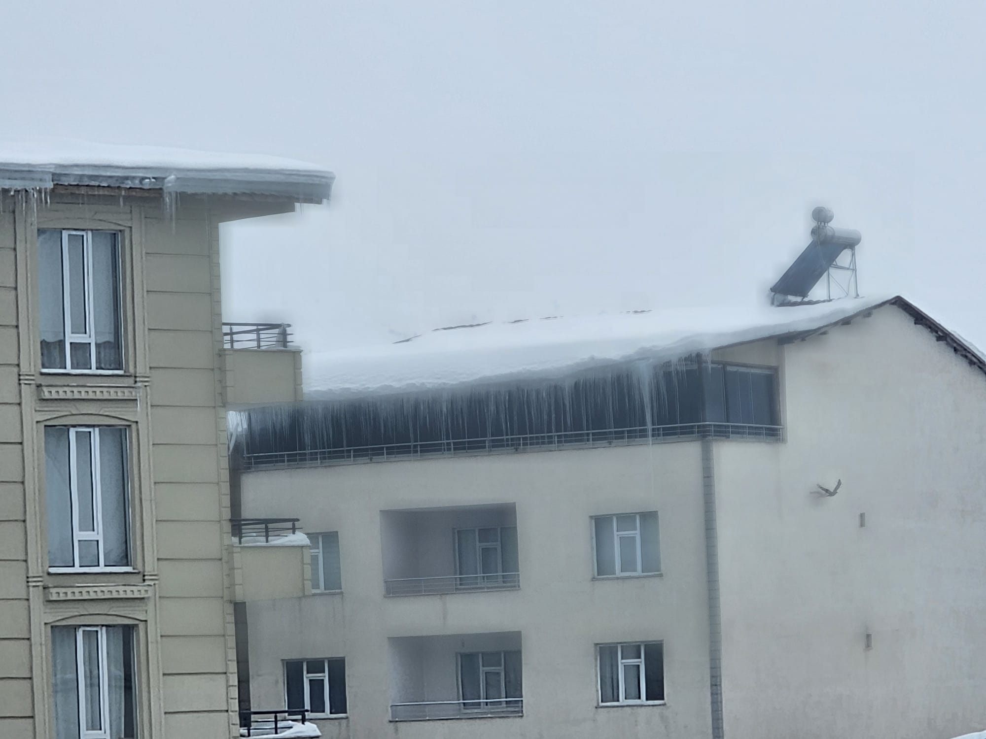 Whatsapp Image 2026 01 22 At 15.35.20 (3)