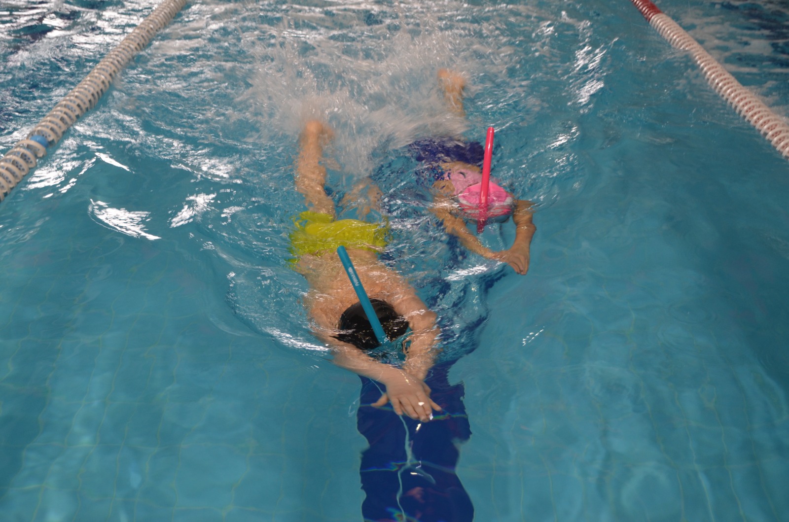 Whatsapp Image 2026 01 25 At 14.21.55 (4)