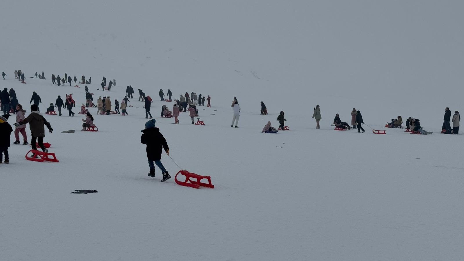 Whatsapp Image 2026 01 25 At 14.25.28