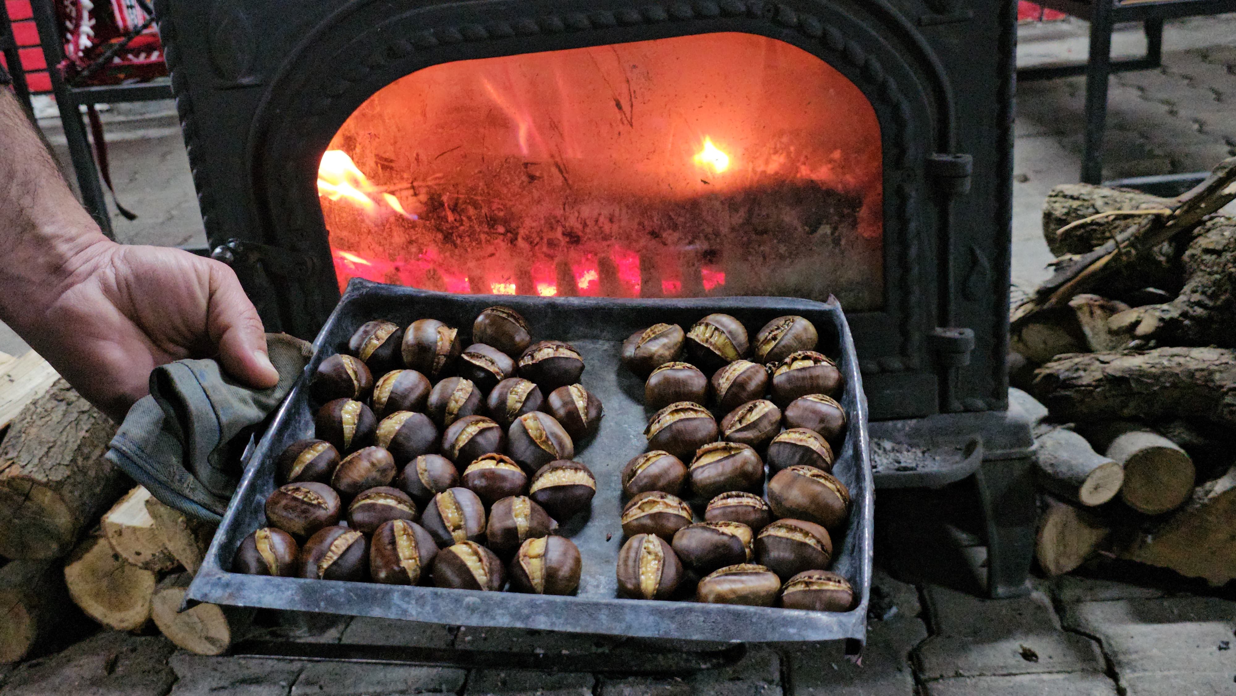 Whatsapp Image 2026 01 26 At 19.41.03