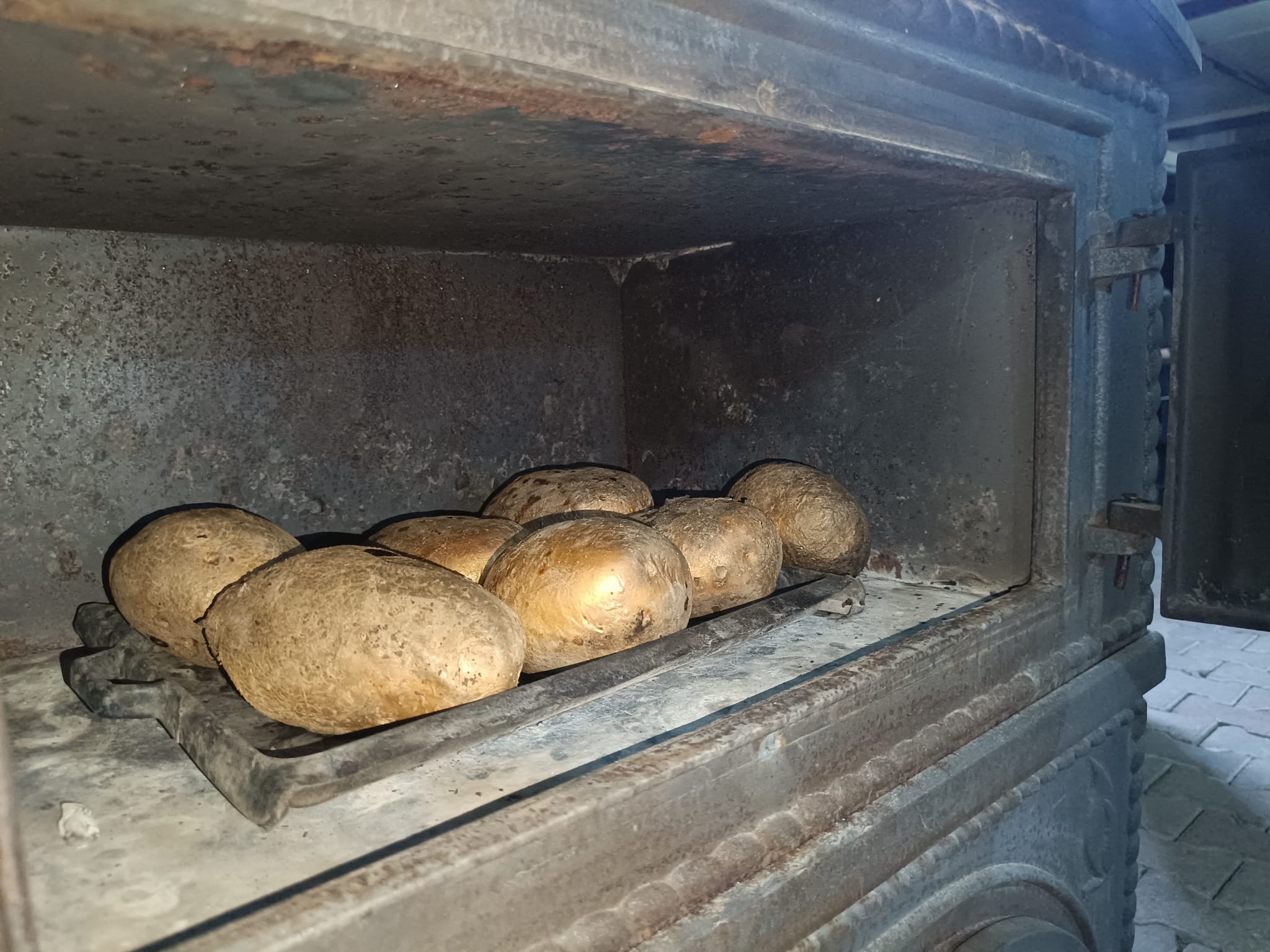 Whatsapp Image 2026 01 26 At 20.14.32 (1)