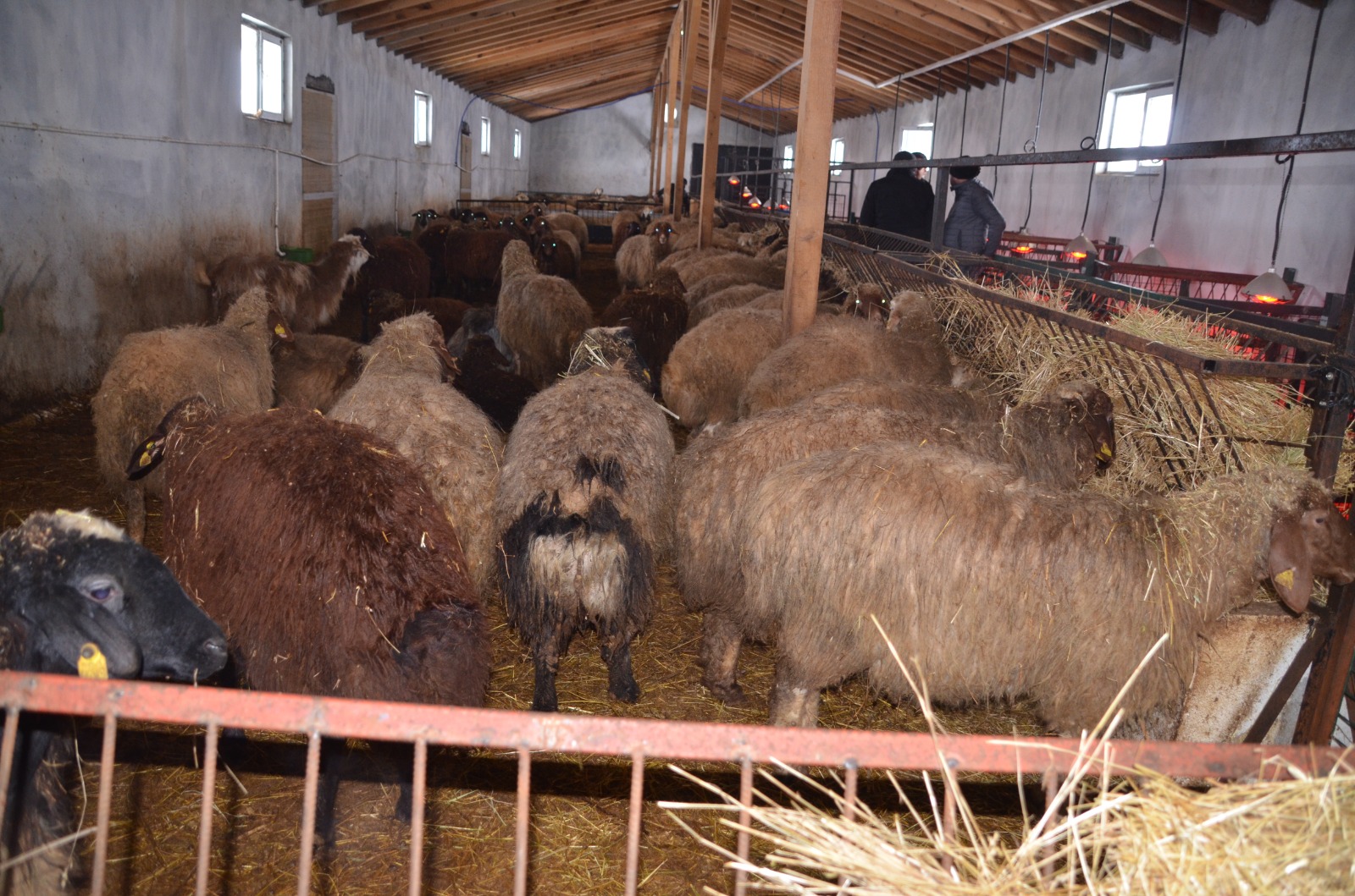 Whatsapp Image 2026 01 30 At 16.30.21 (3)