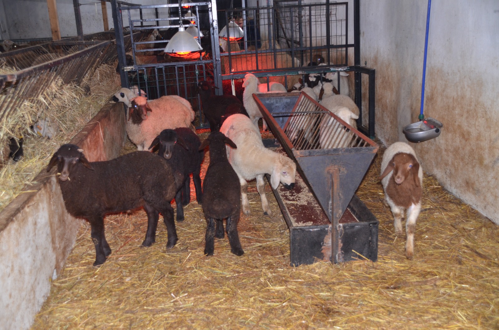 Whatsapp Image 2026 01 30 At 16.30.22