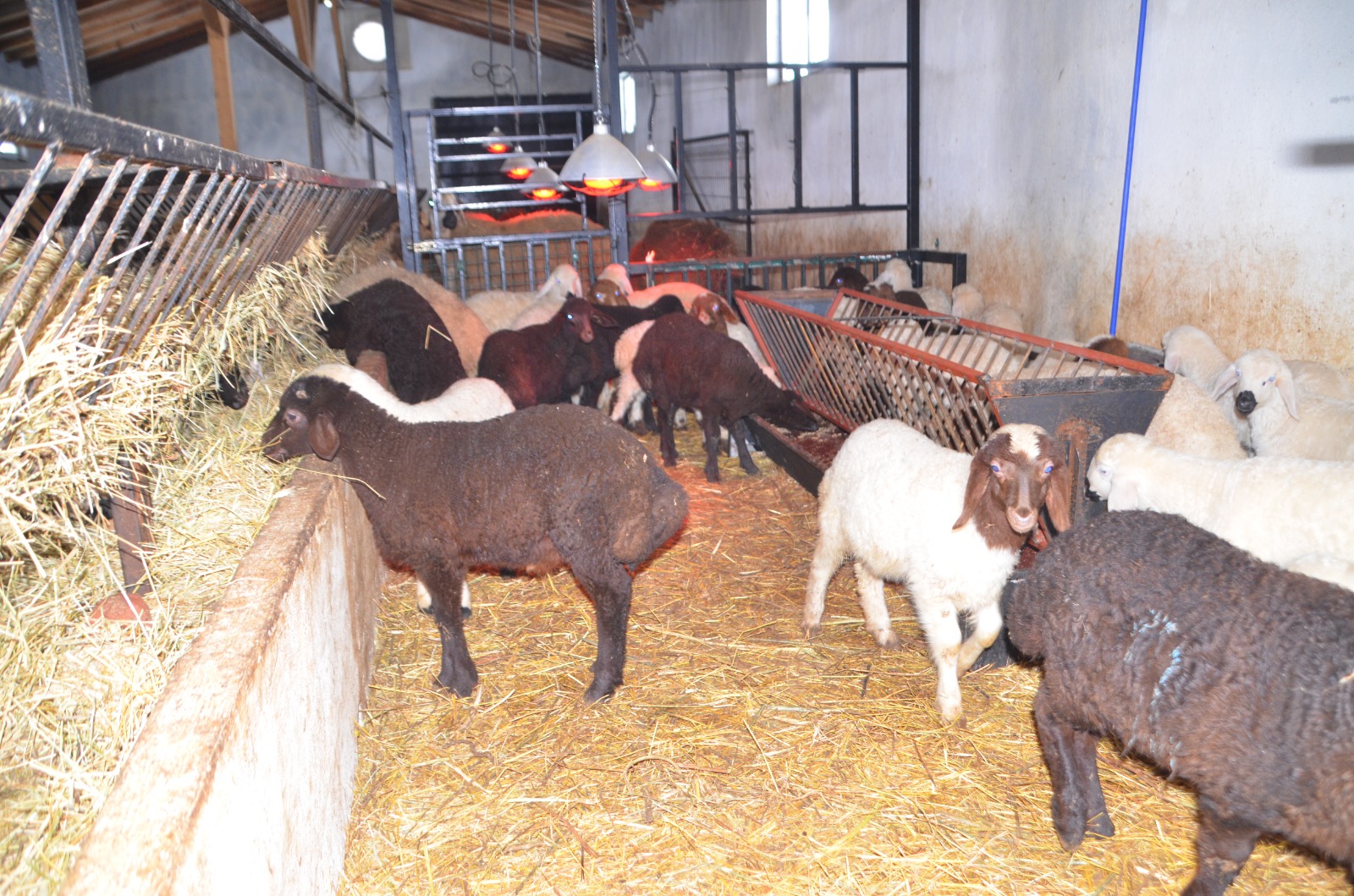 Whatsapp Image 2026 01 30 At 16.30.23