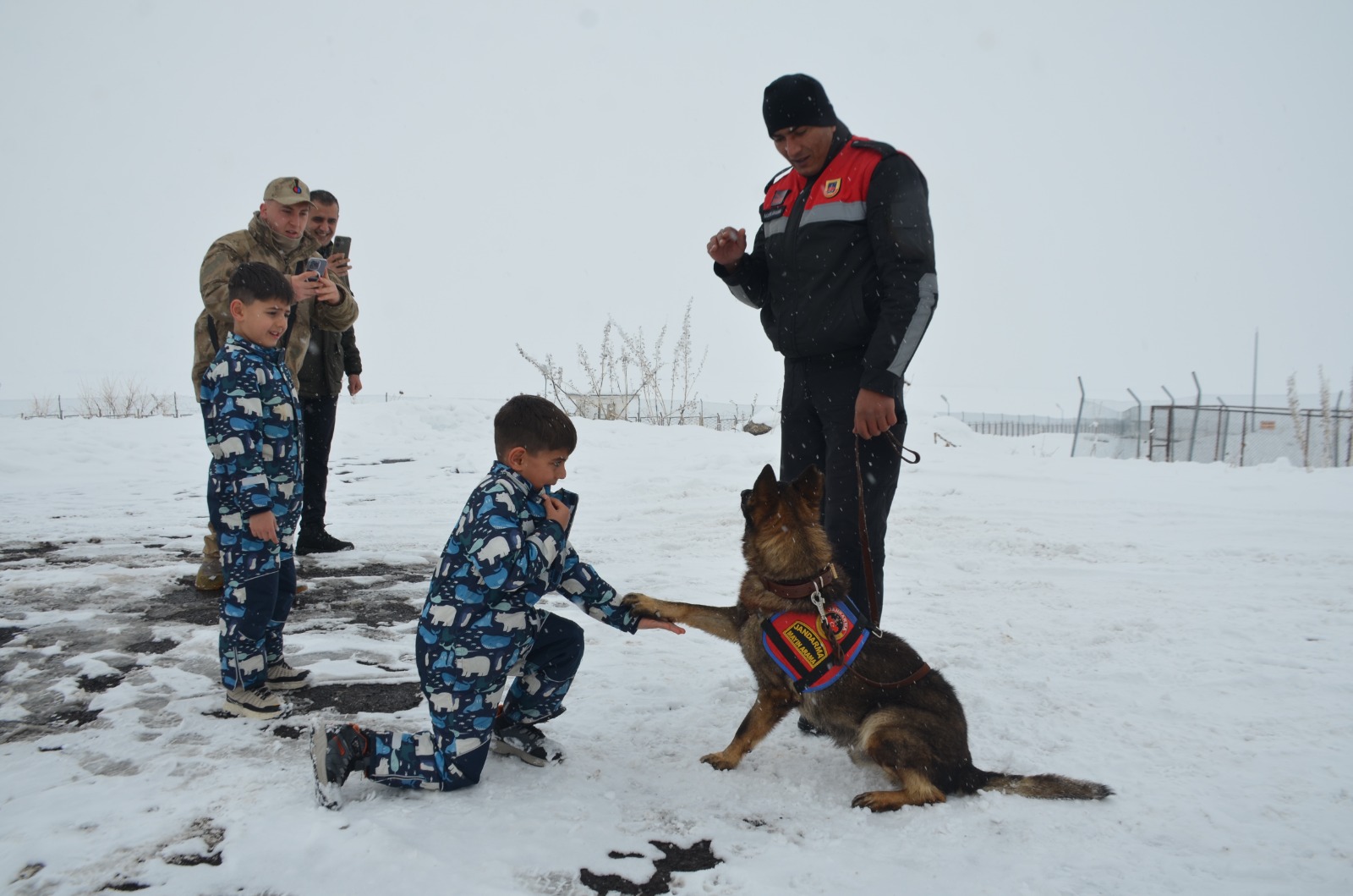 Whatsapp Image 2026 01 31 At 15.56.22