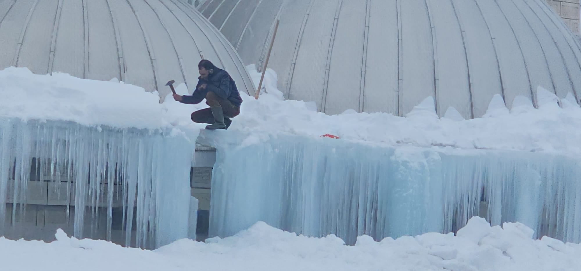 Whatsapp Image 2026 01 31 At 16.14.59 (1)