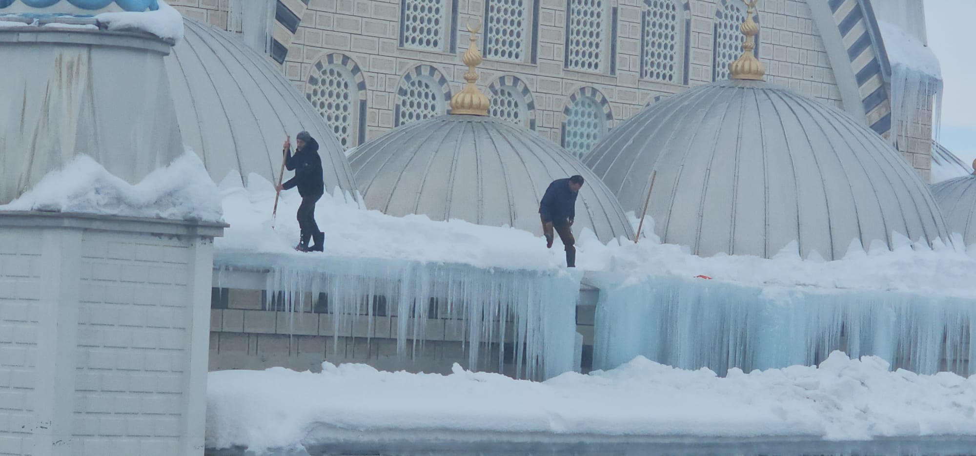 Whatsapp Image 2026 01 31 At 16.15.00