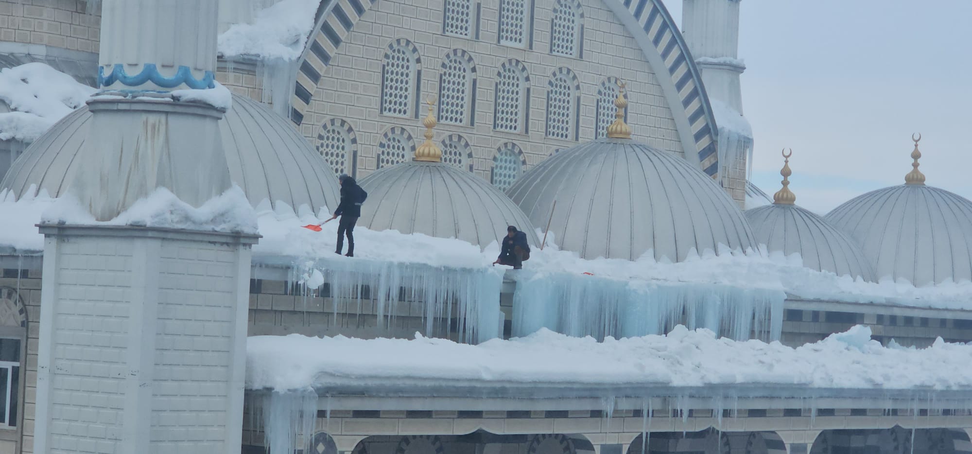 Whatsapp Image 2026 01 31 At 16.15.01