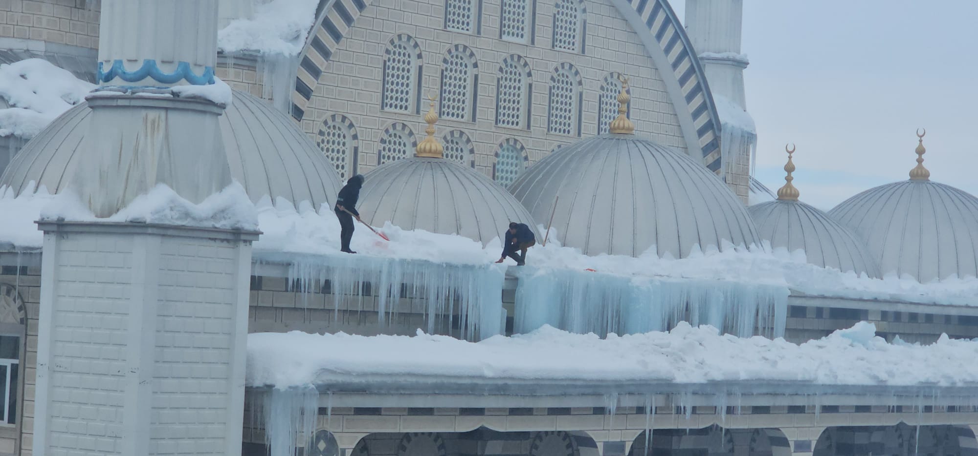 Whatsapp Image 2026 01 31 At 16.15.03