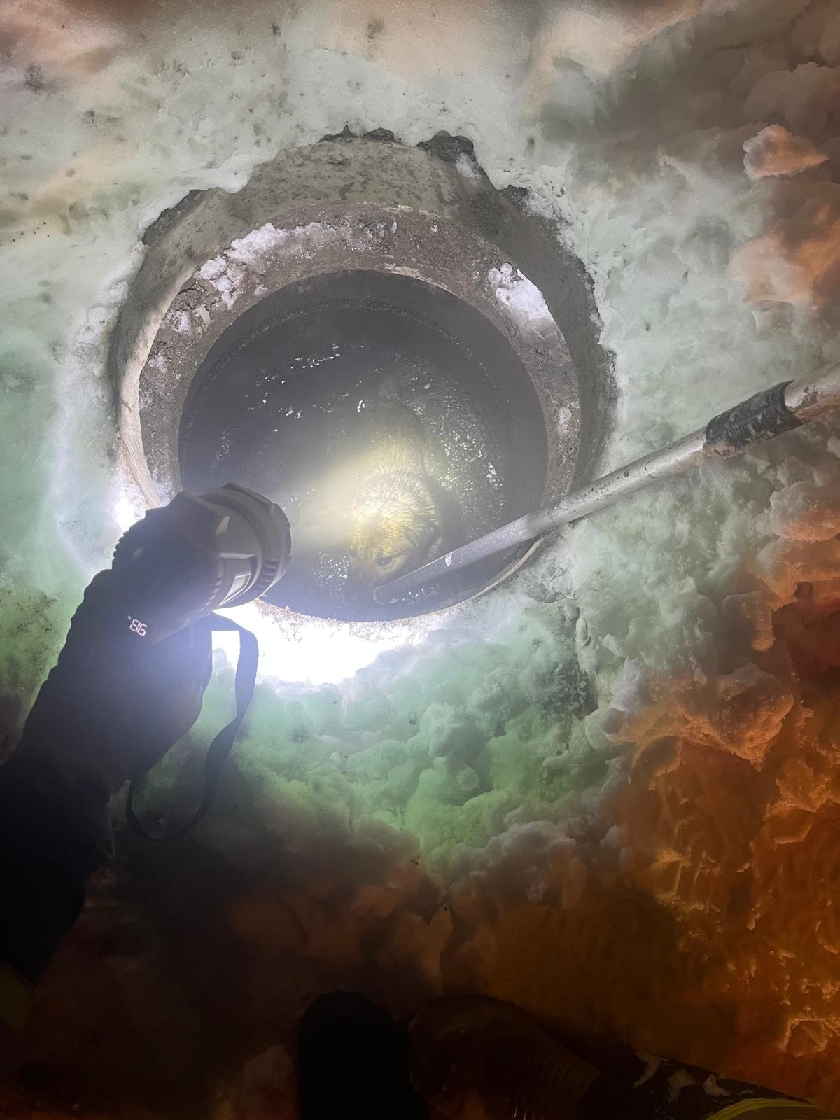 Whatsapp Image 2026 01 31 At 22.22.29