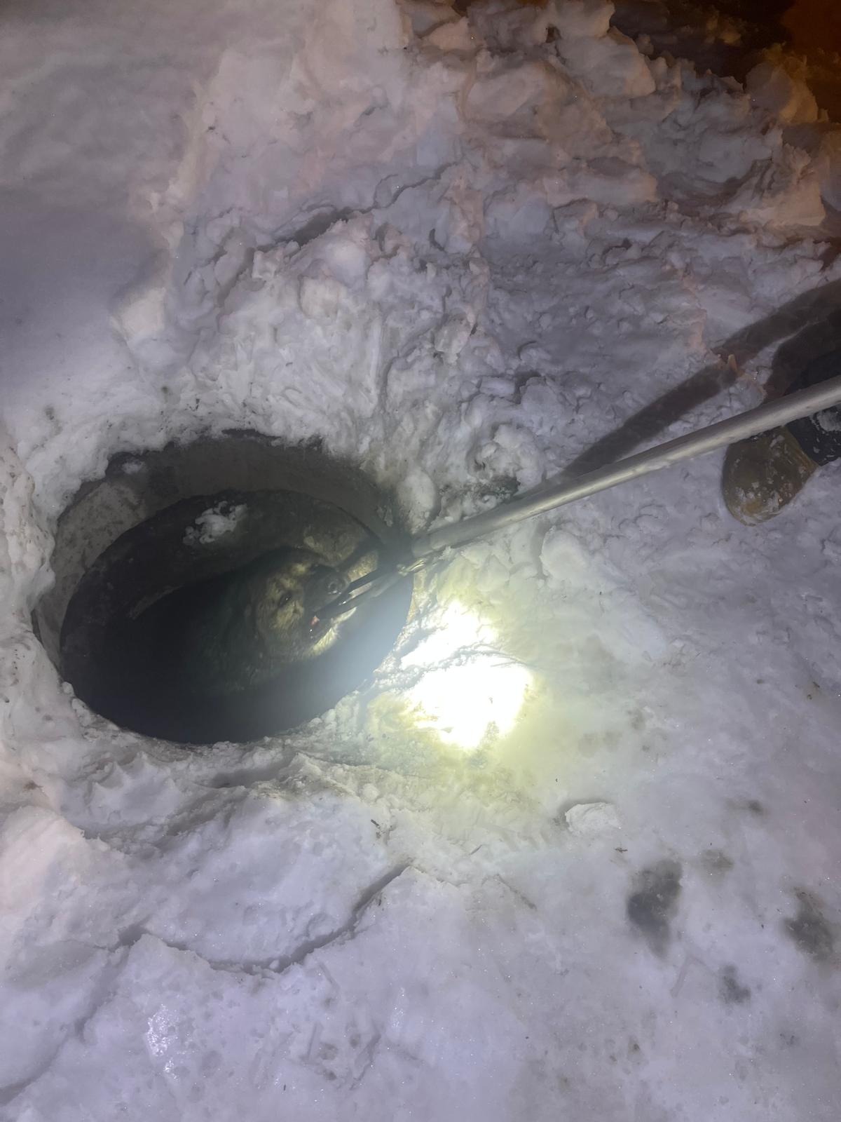 Whatsapp Image 2026 01 31 At 22.22.54