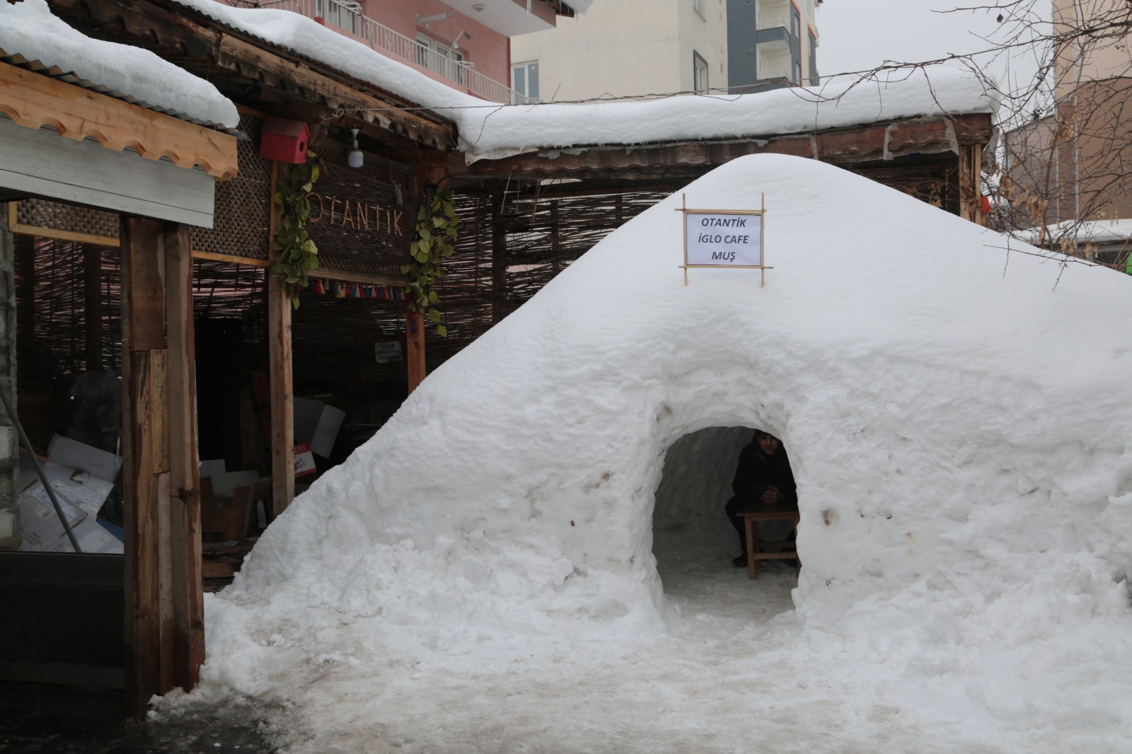 Whatsapp Image 2026 02 01 At 14.34.35 (7)