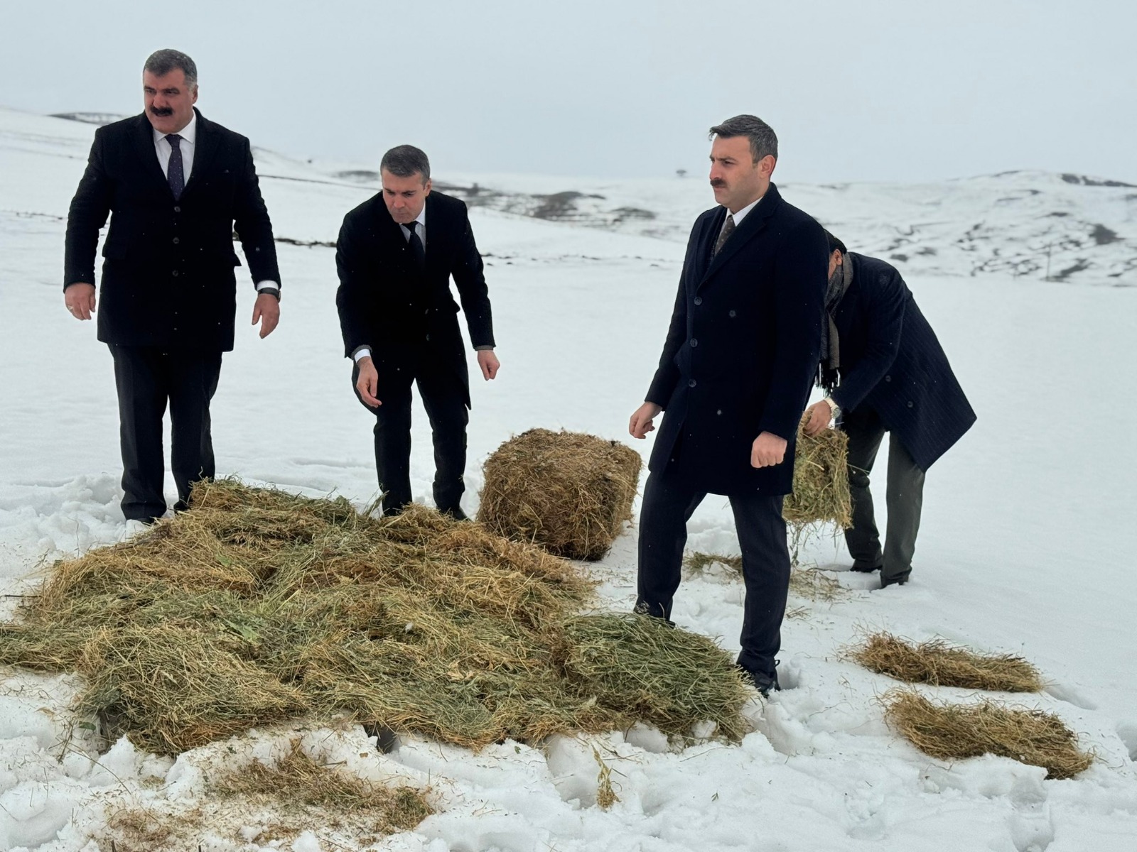 Whatsapp Image 2026 02 05 At 13.01.32 (1)-1