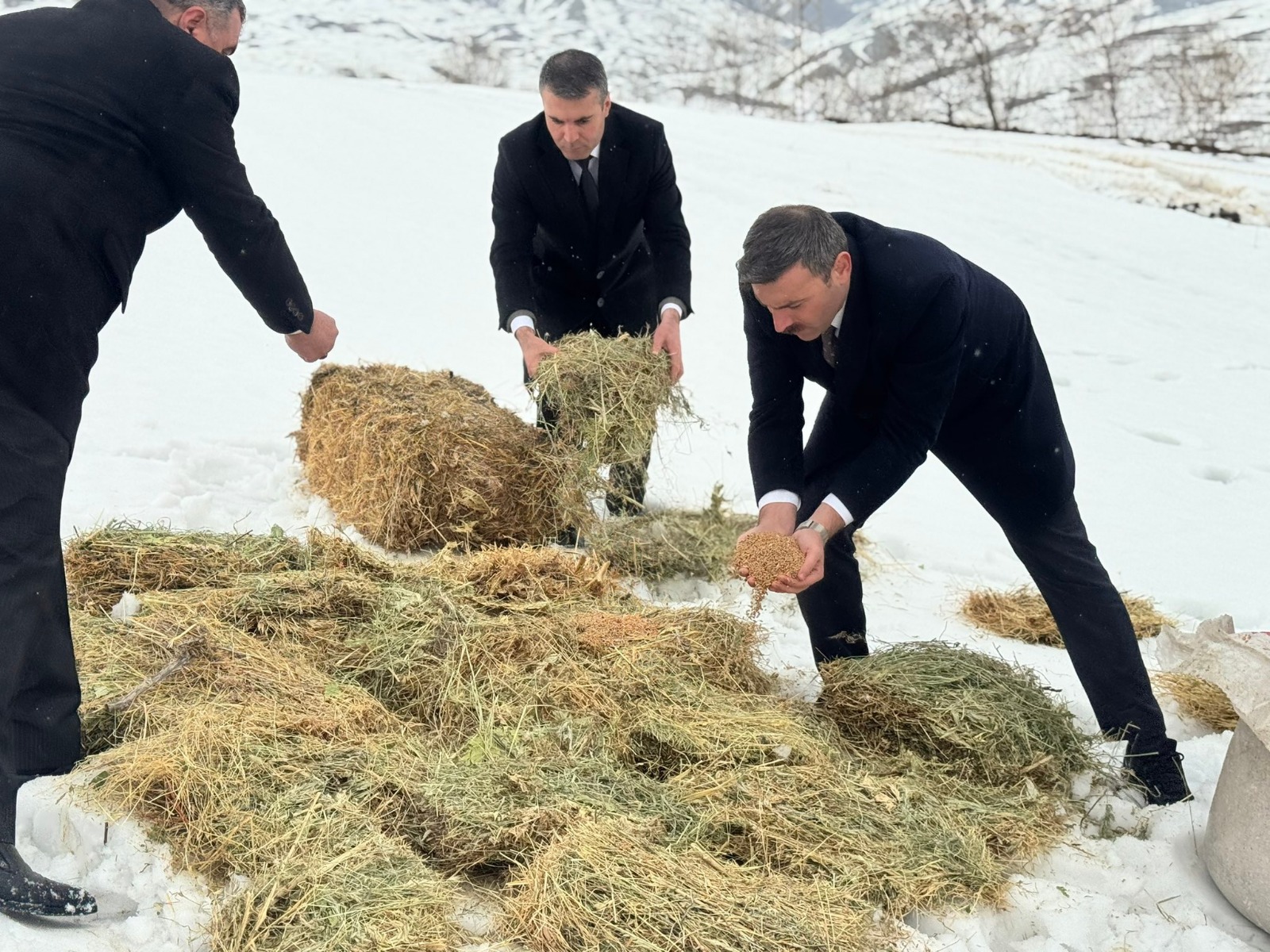 Whatsapp Image 2026 02 05 At 13.01.32 (2)-1