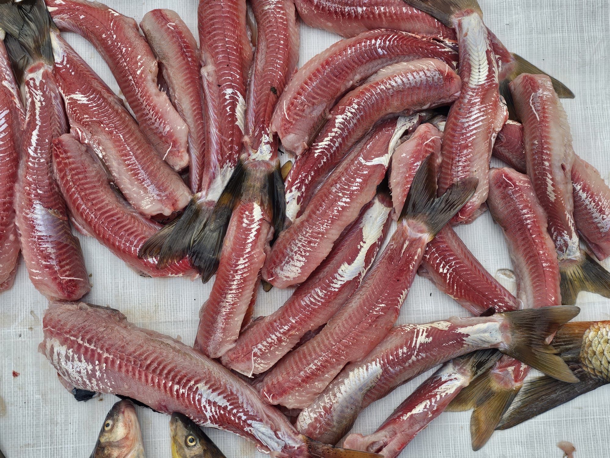 Whatsapp Image 2026 02 05 At 23.57.01 (10)