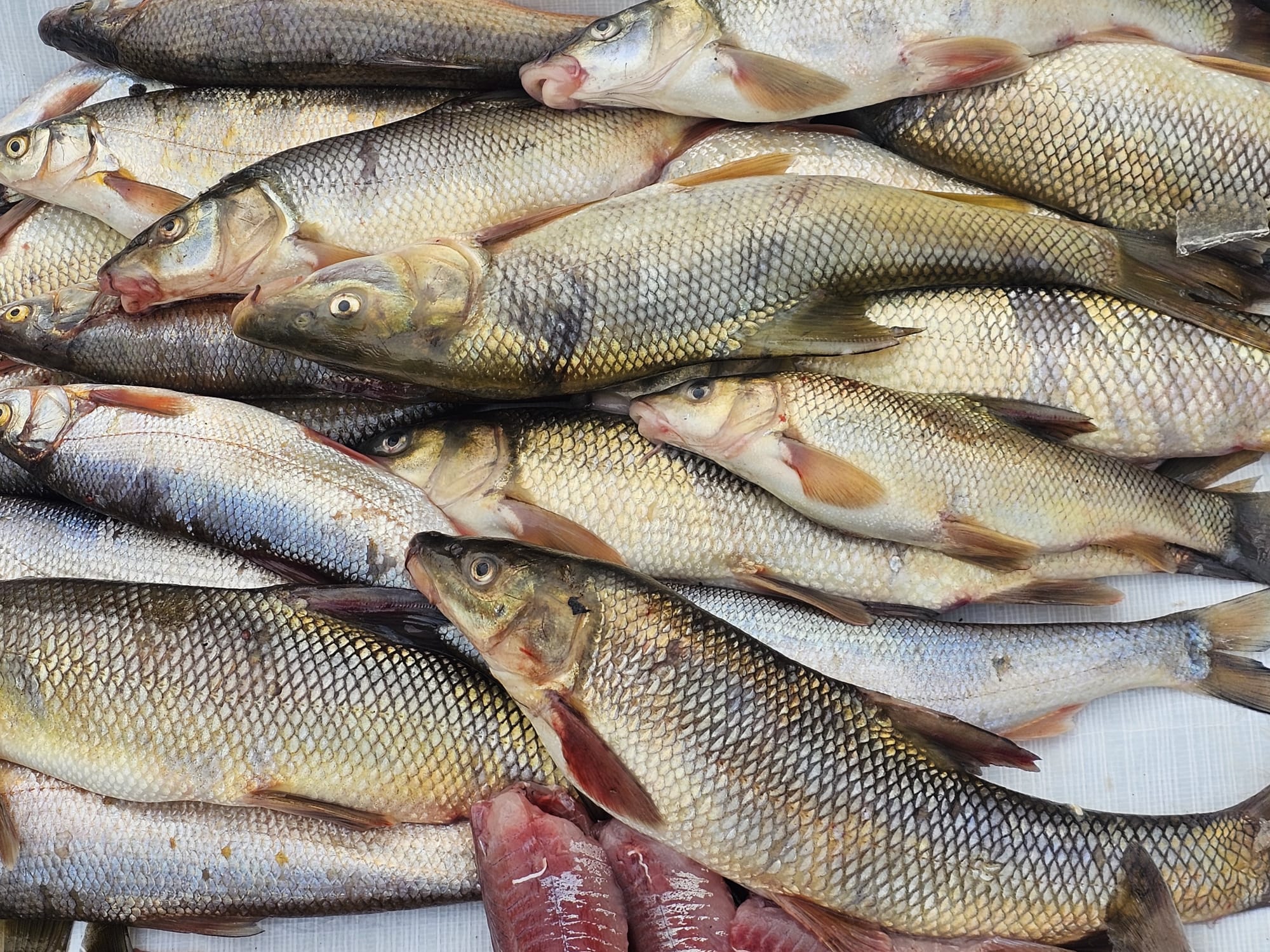 Whatsapp Image 2026 02 05 At 23.57.01 (11)