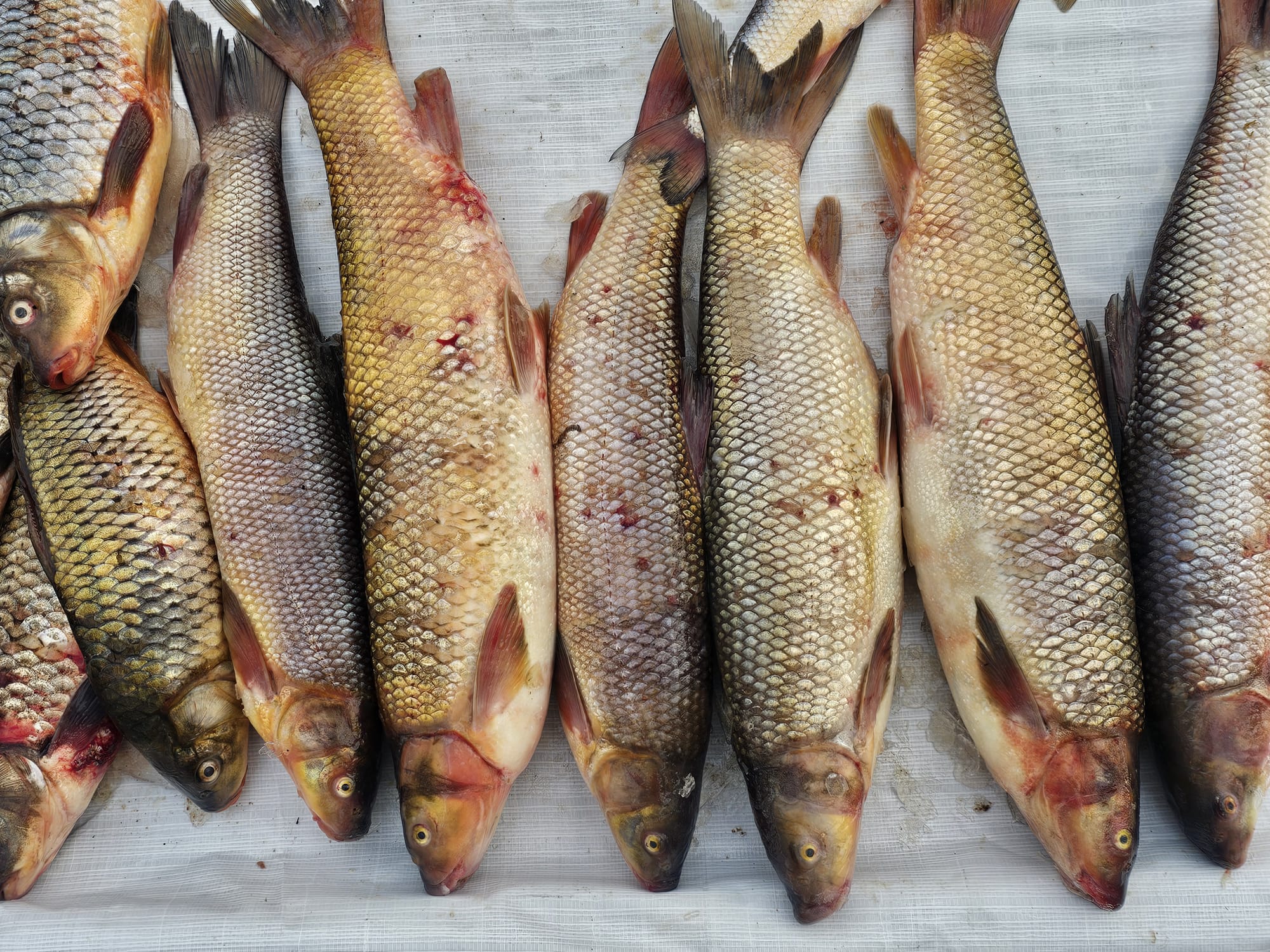 Whatsapp Image 2026 02 05 At 23.57.01 (12)