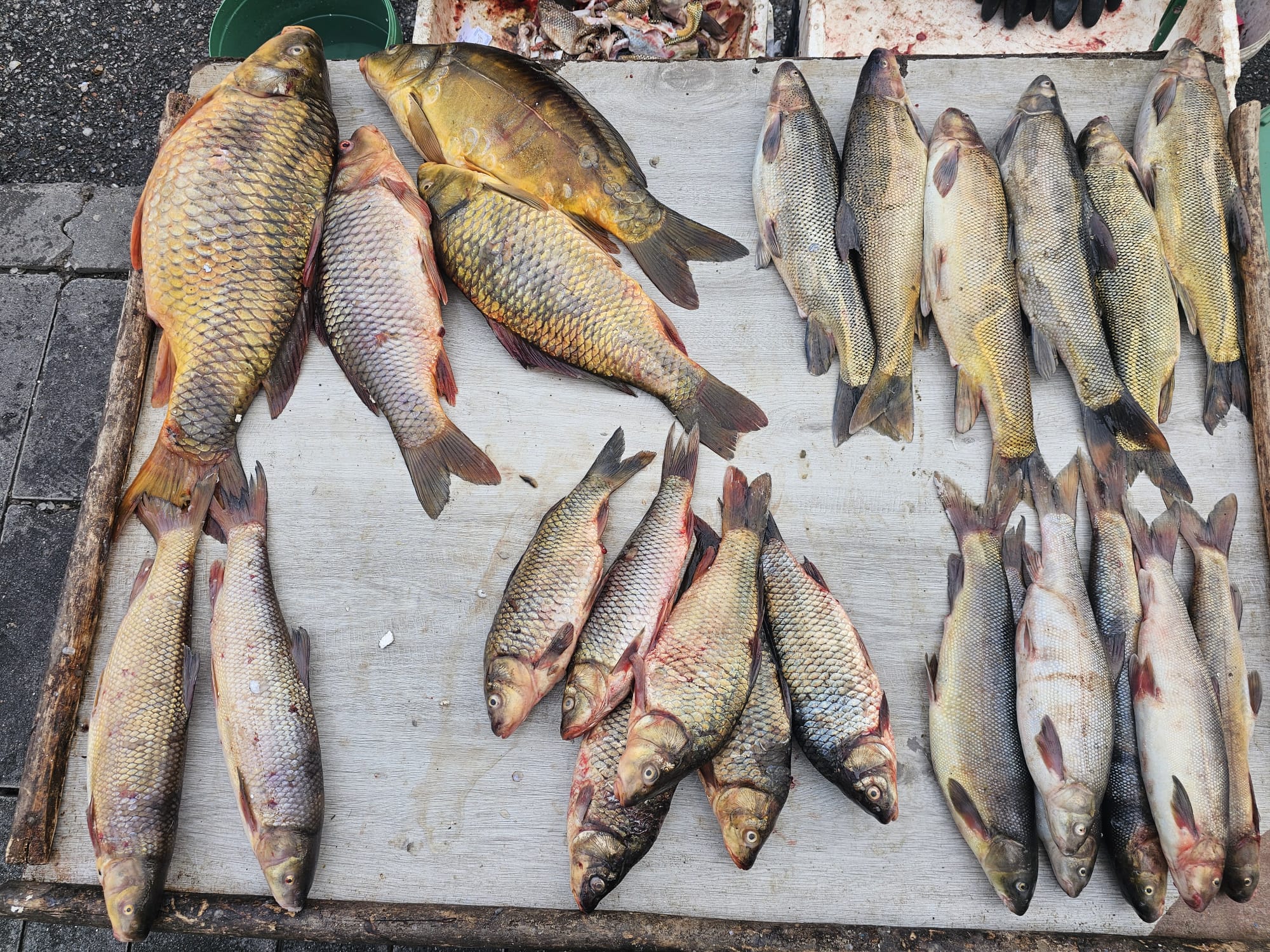 Whatsapp Image 2026 02 05 At 23.57.01 (2)