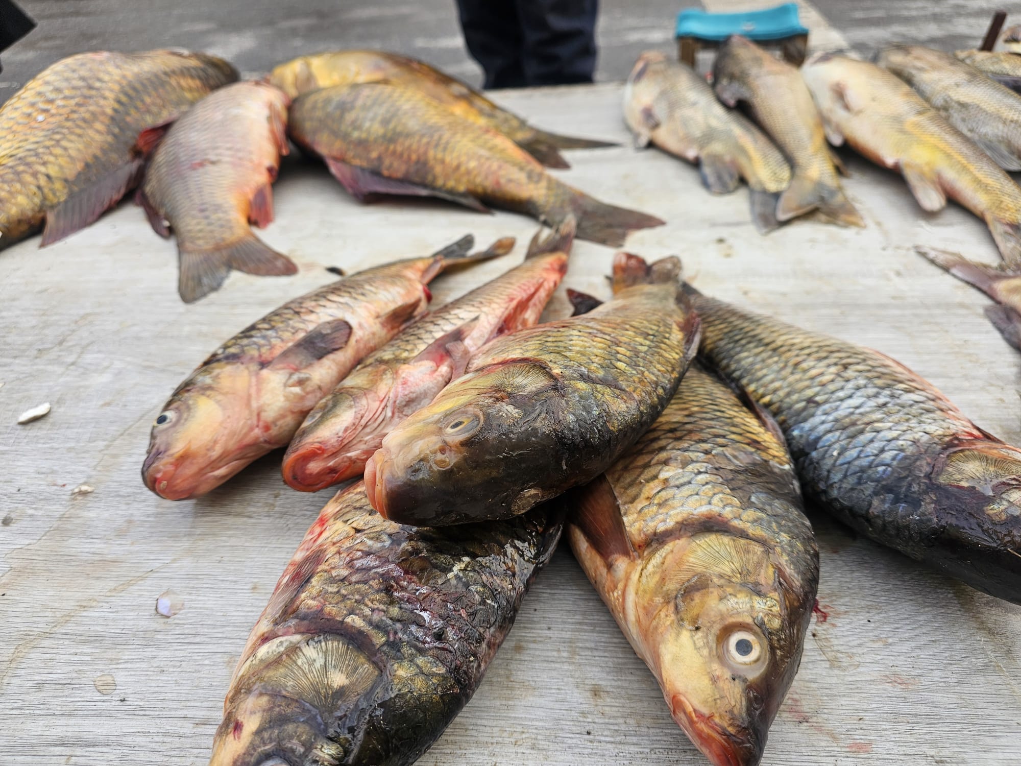 Whatsapp Image 2026 02 05 At 23.57.01 (3)