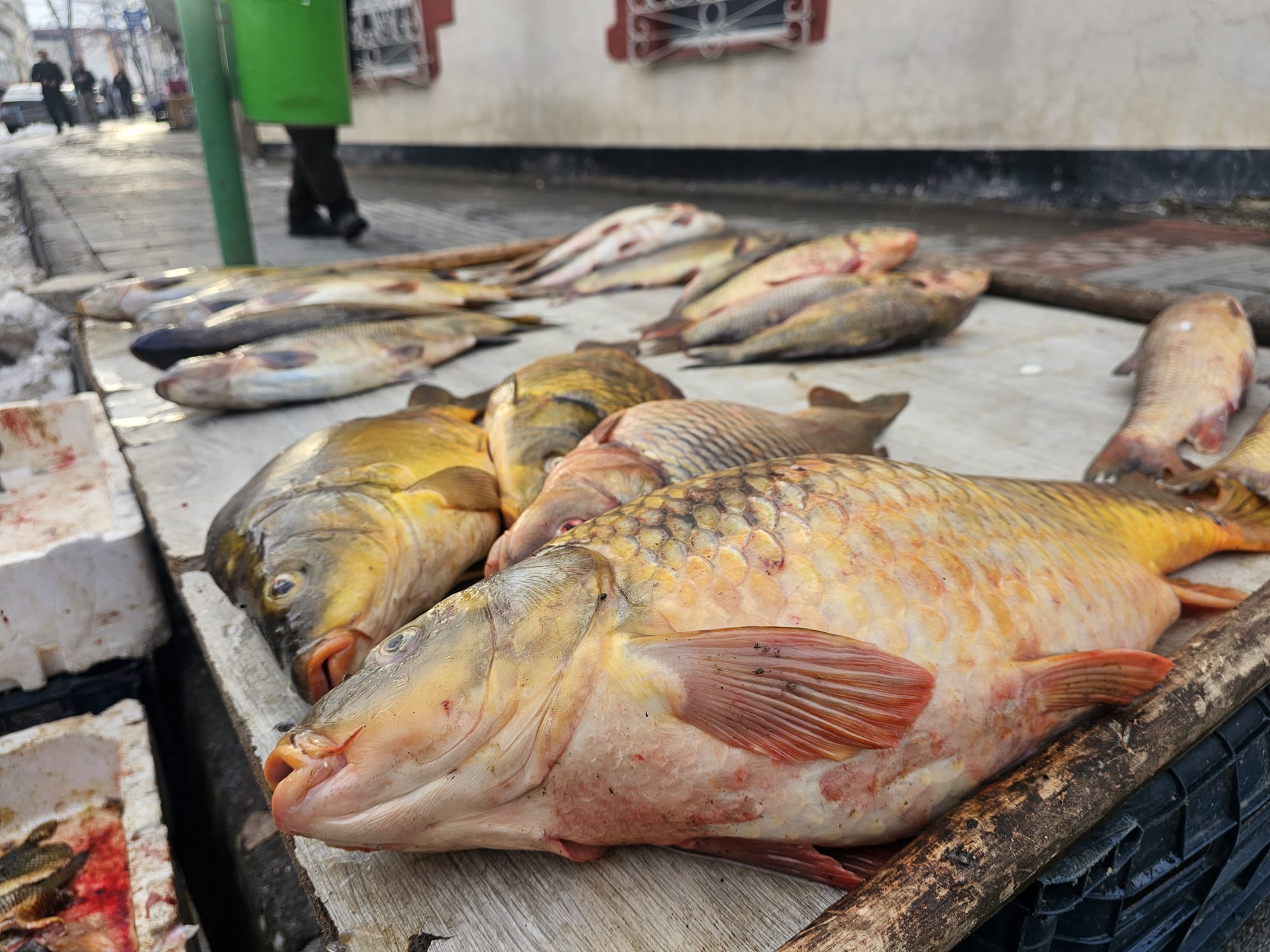 Whatsapp Image 2026 02 05 At 23.57.01